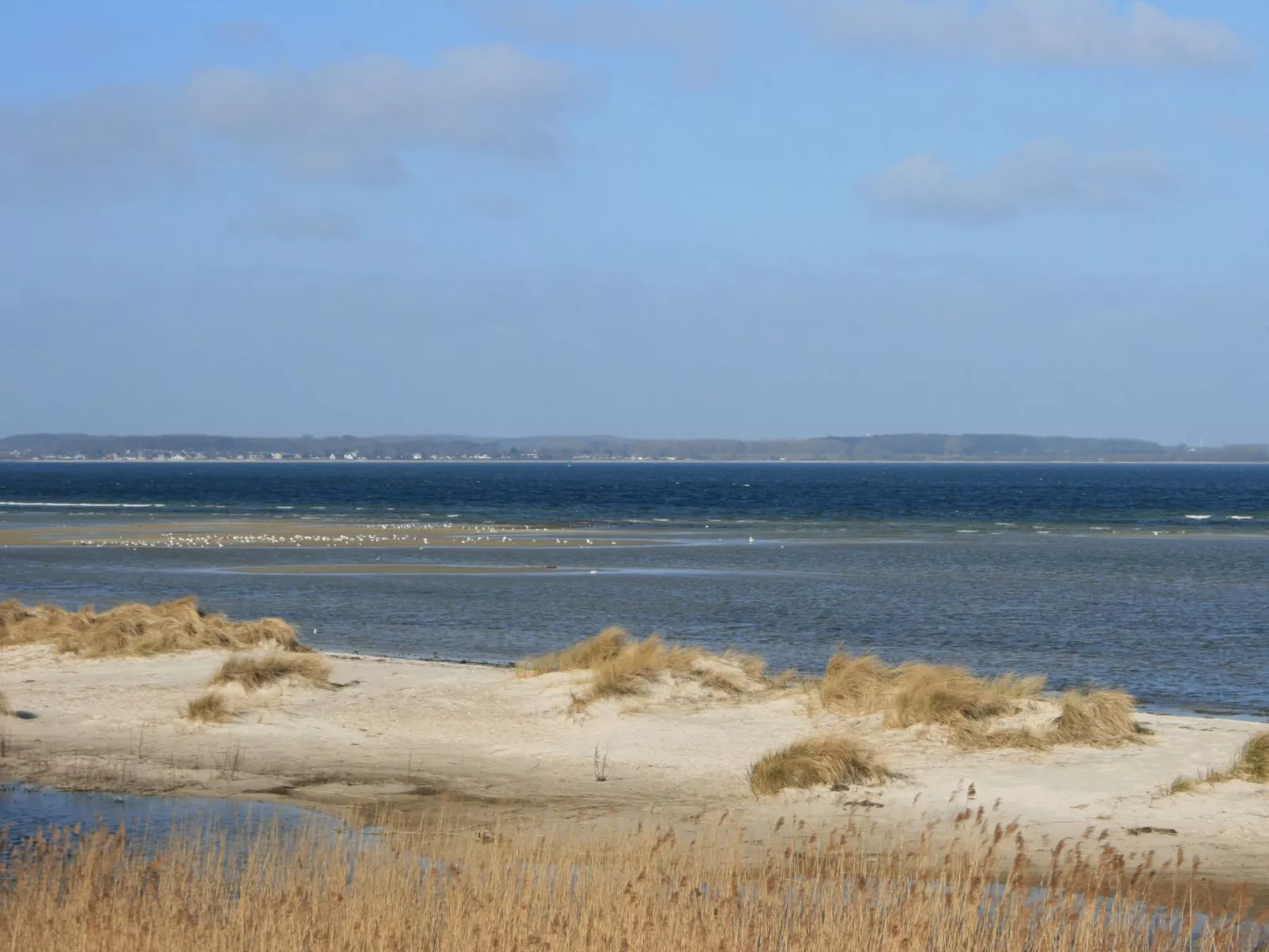 Tolle Ferienwohnung in Schönberger Strand-Draußen