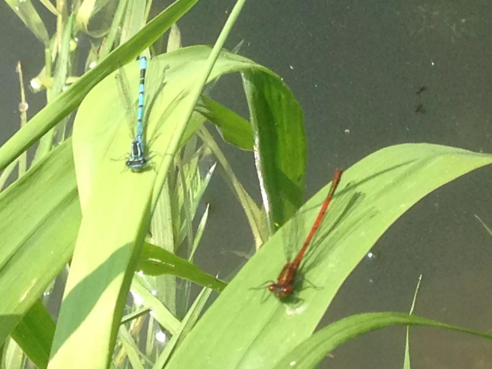 Le Clos du Hêtre-Image-tags.info