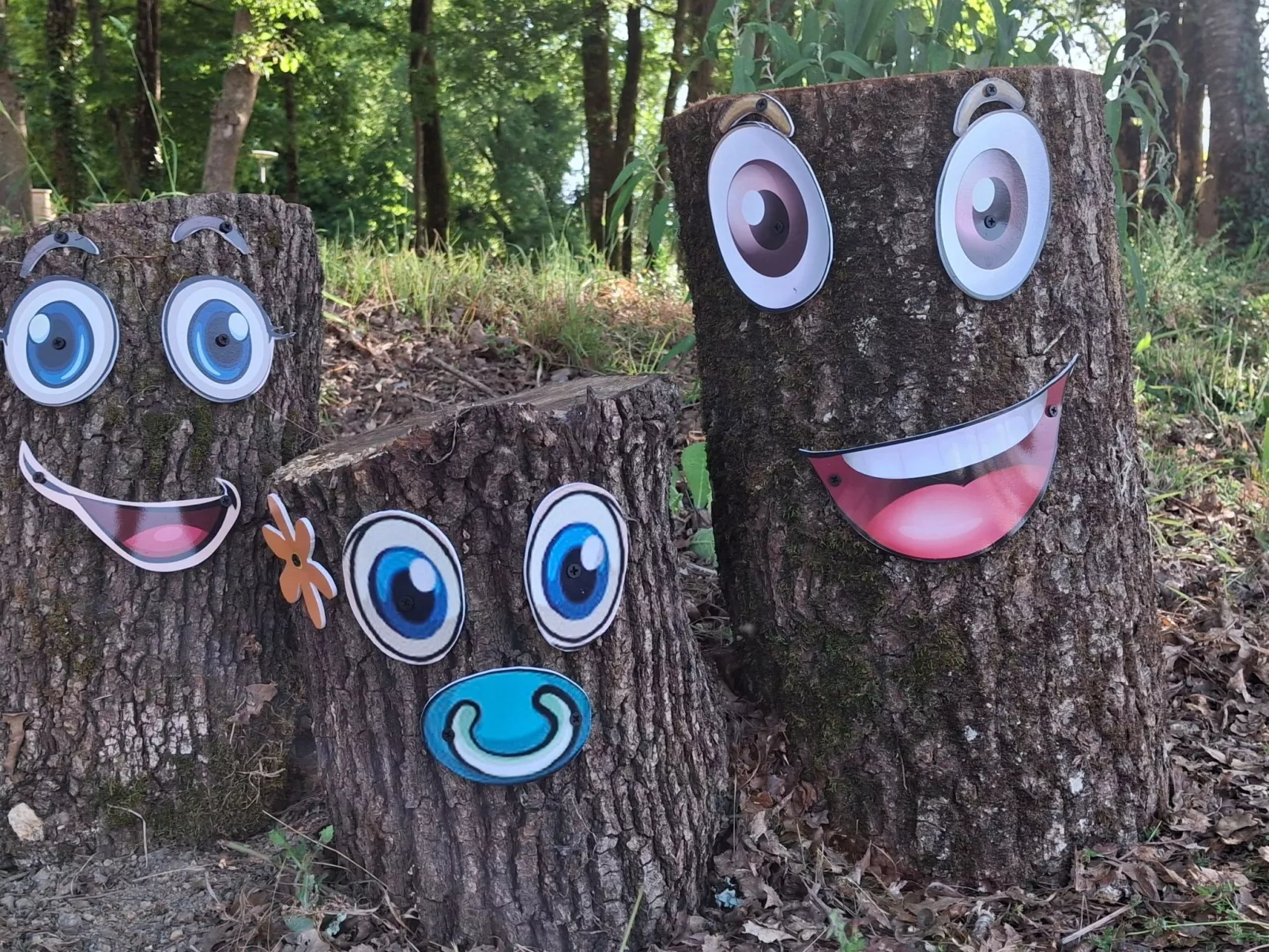 "Cottage Premium" mit Terrasse-Outside