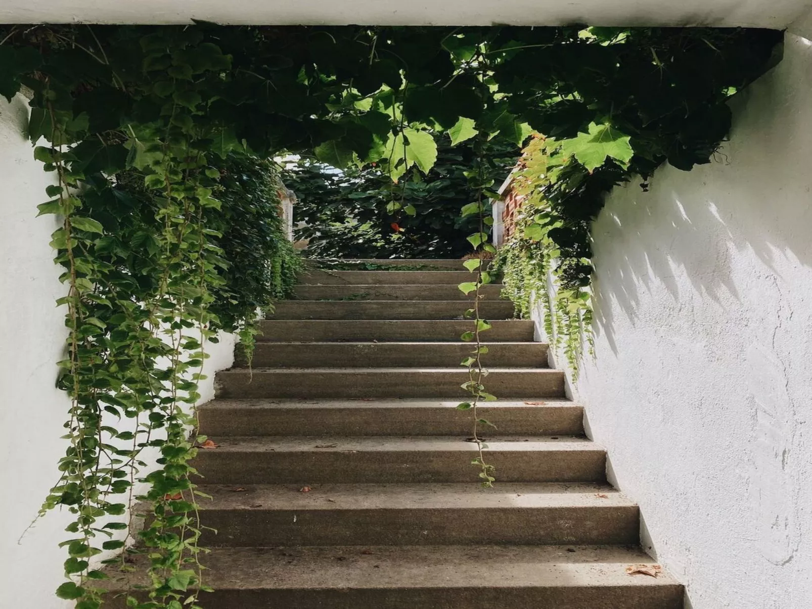 Großmutters Scheune-Draußen