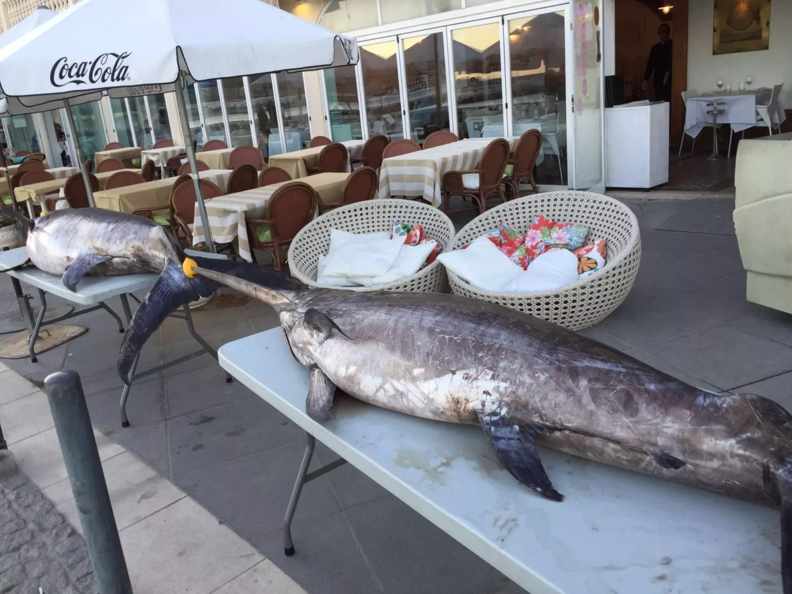 In Sesimbra mit Grill, Terrasse und Garten-Dedans