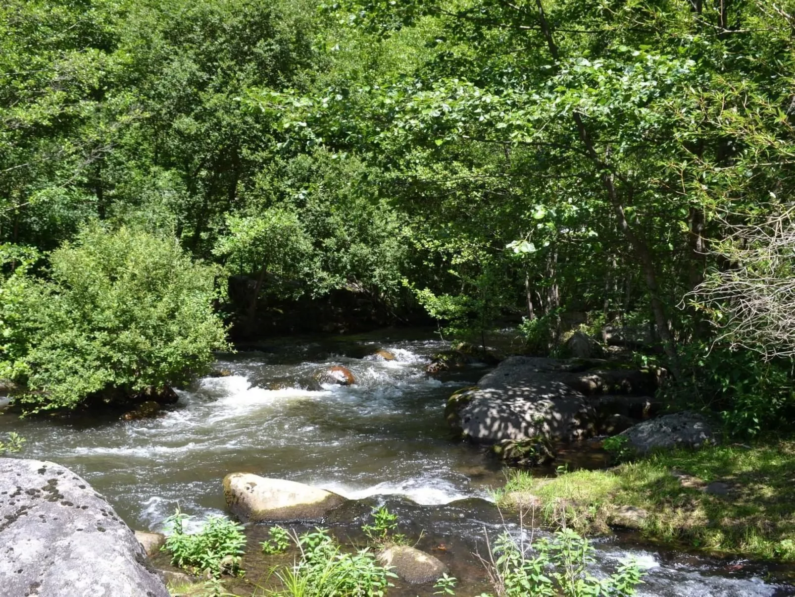 LE HAVRE SAUVAGE-Dehors