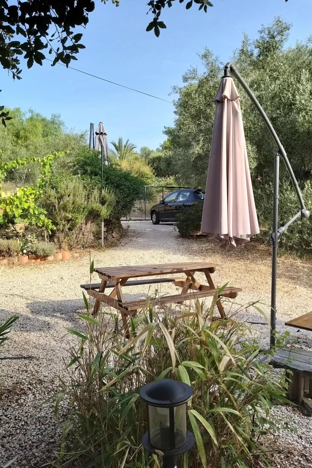 Mit Terrasse, mitten in der Natur-Outside