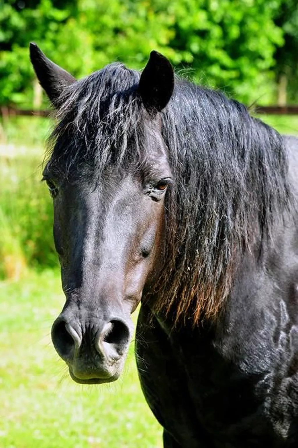 Mit Terrasse-Outside