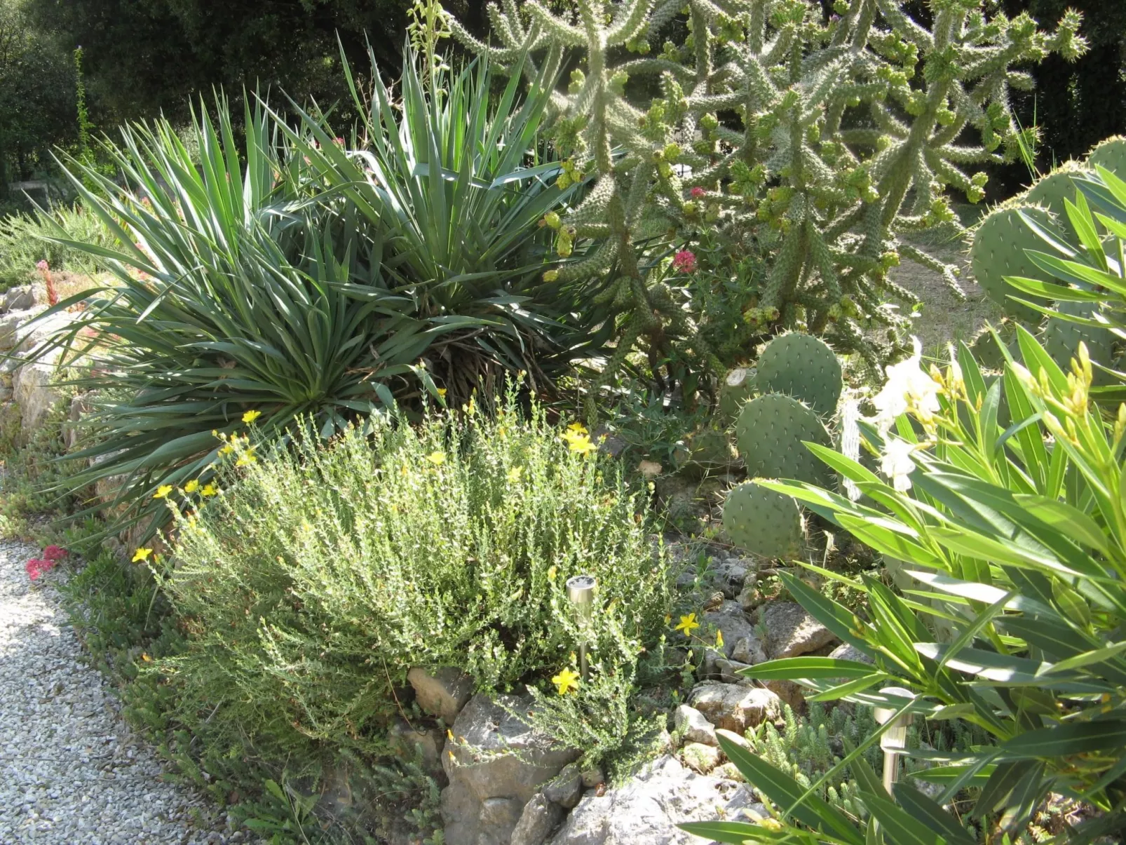 À l'abri du Mistral-Dehors