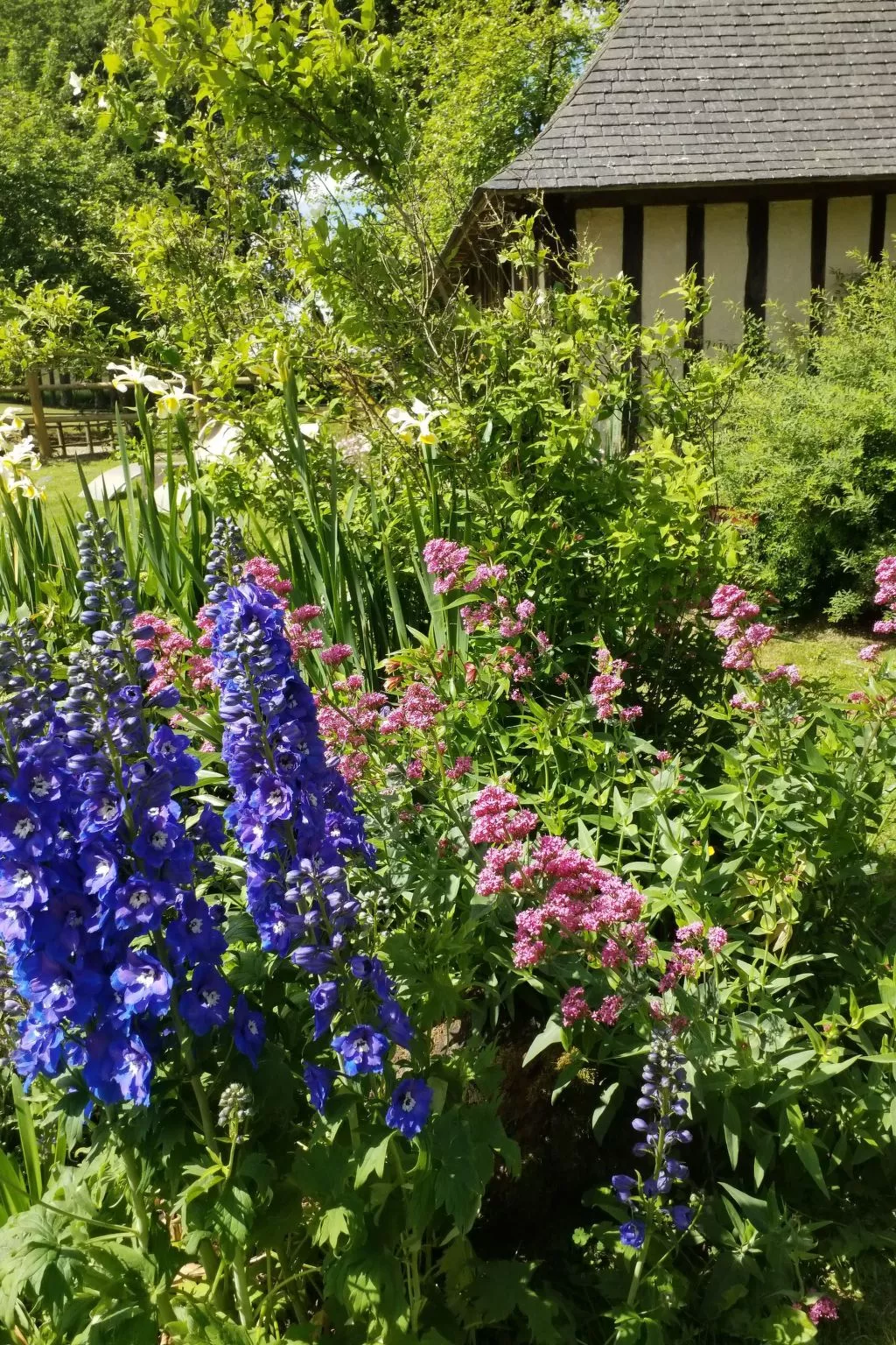 Charmante normannische Ferienwohnung Les chataigniers 2 Zimmer-Outside