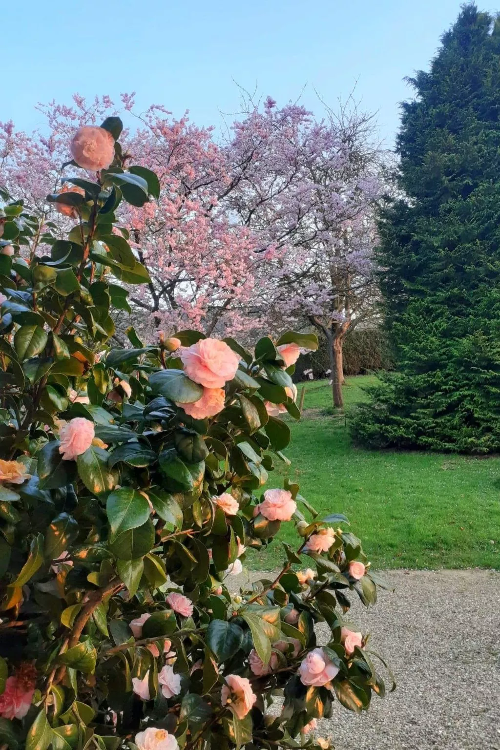 Neues normannisches Ferienhaus mit Charme die Kastanienbäume-Image-tags.info