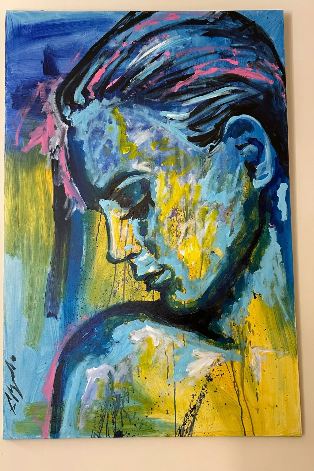 Villa-Mas des Lilas bei Coba in der Provence-Dehors