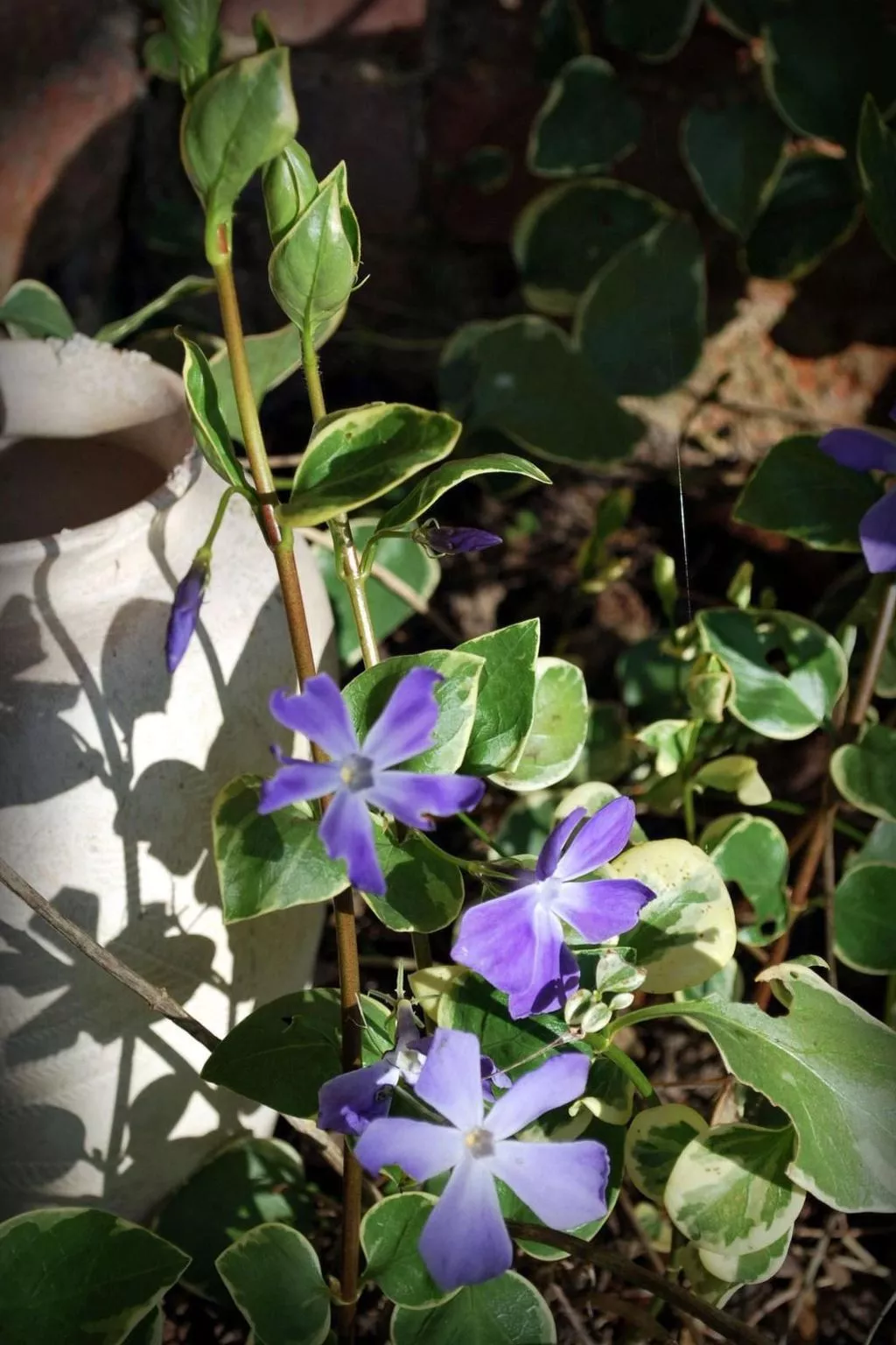 Liebevoll renoviertes Ferienhaus als Teil eines kleinen Bauernhauses mit abgesc-Image-tags.info