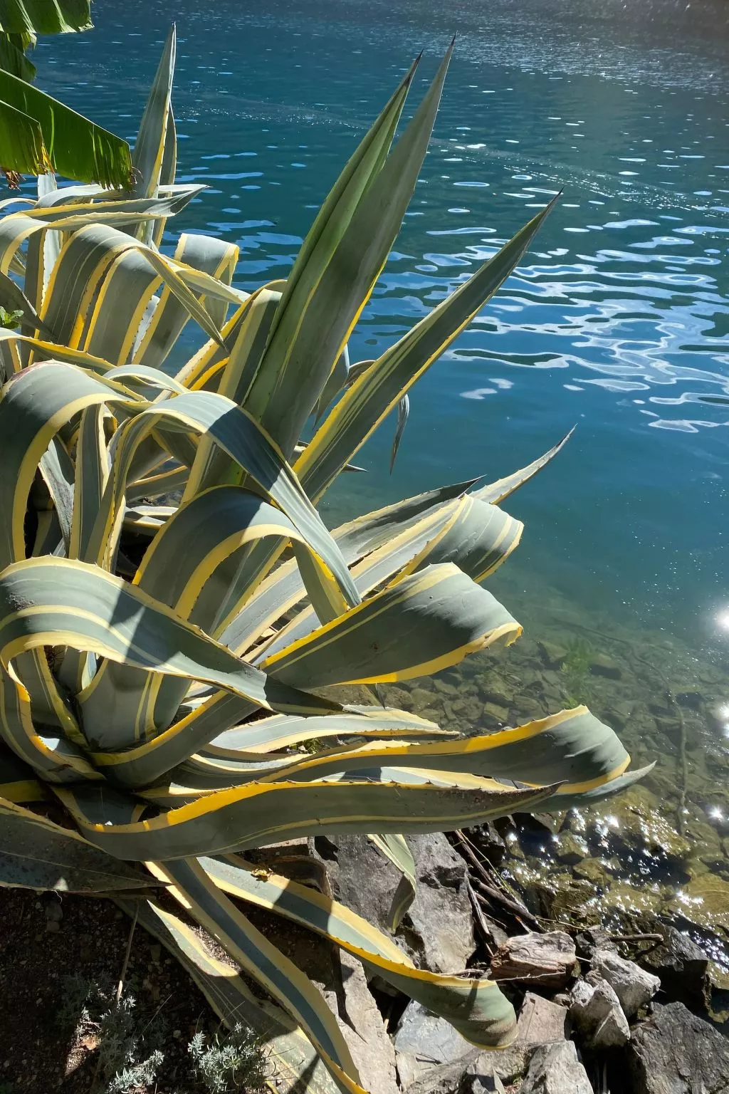 Gartenwohnung im Tessin mit Swimmingpool-Outside