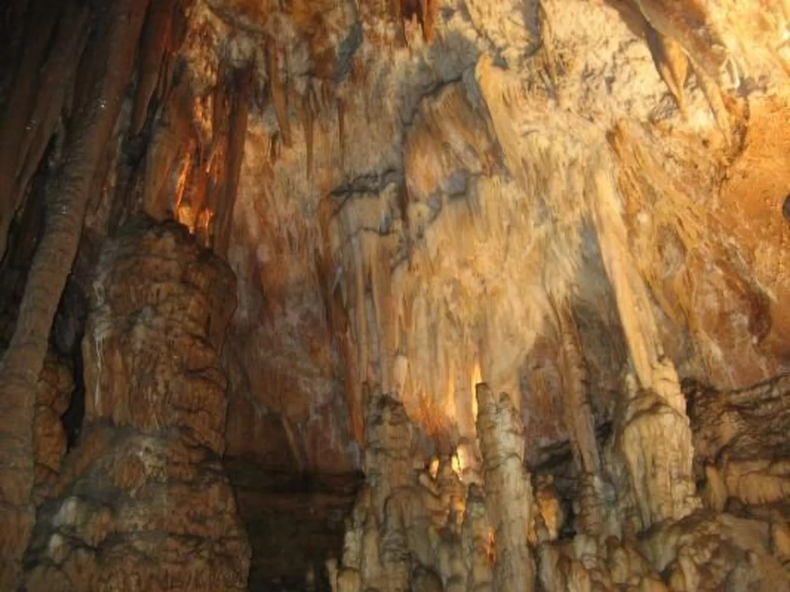 "Haus der Olivenbäume"-Image-tags.info