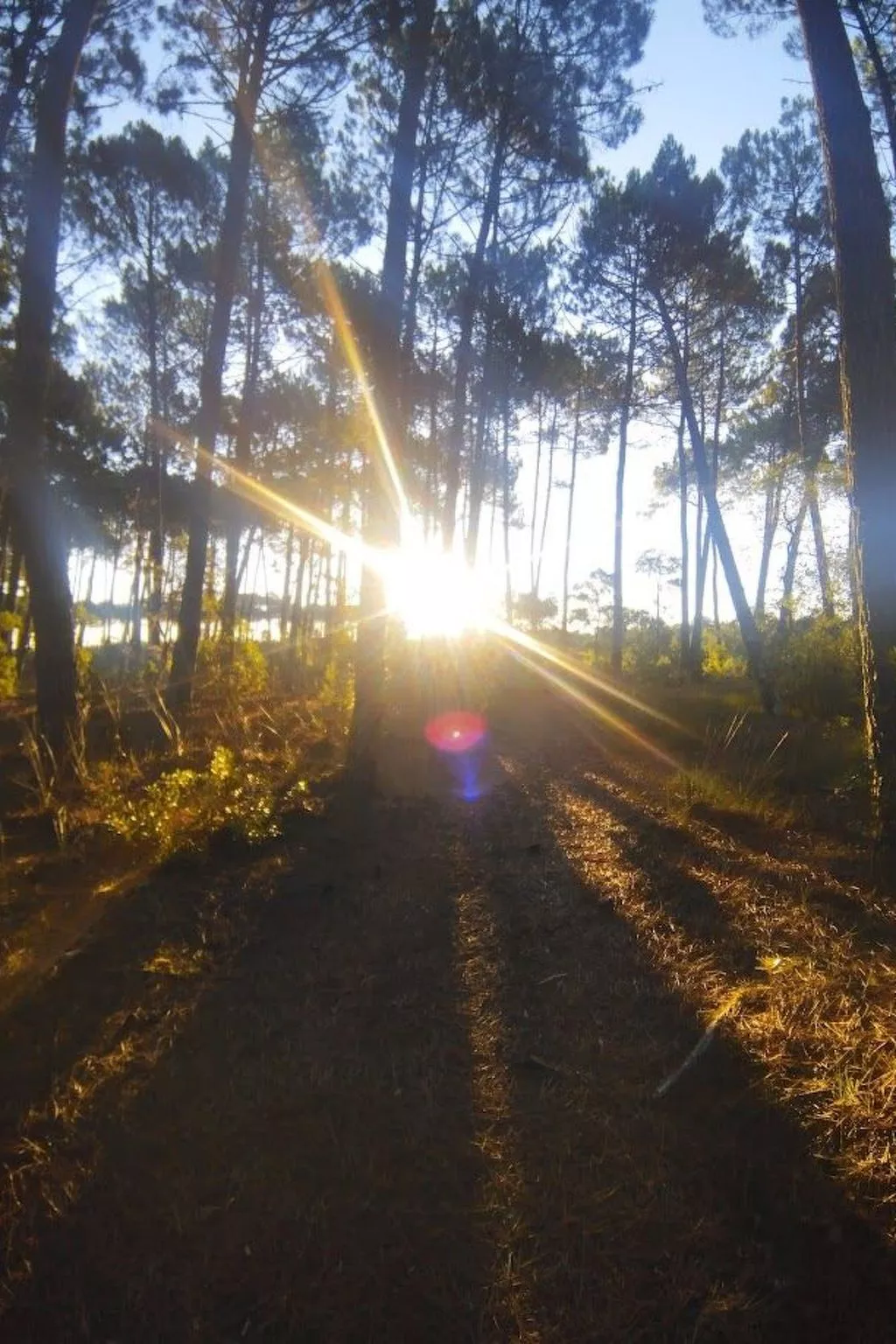 Villa contis-Plage 900m vom Ozean entfernt-Dehors