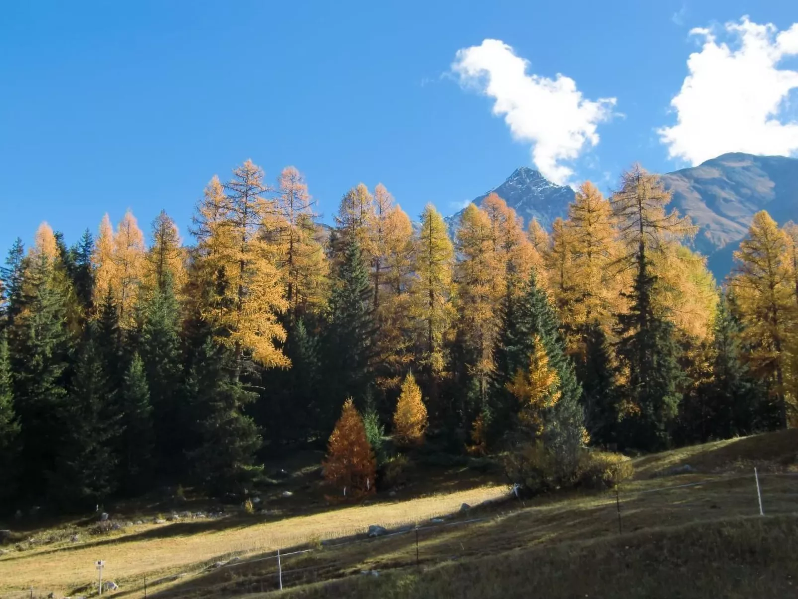 Chesa Piz d'Esan-Draußen