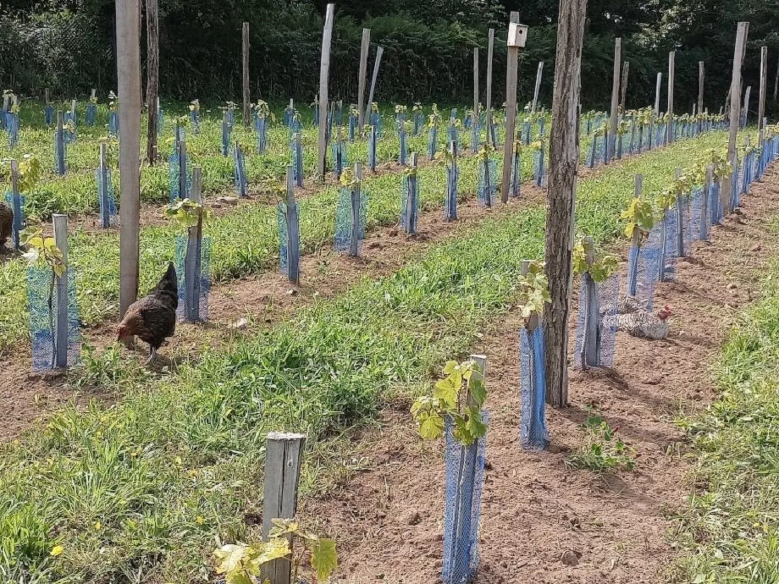 Die Domaine de Kerampape-Dehors