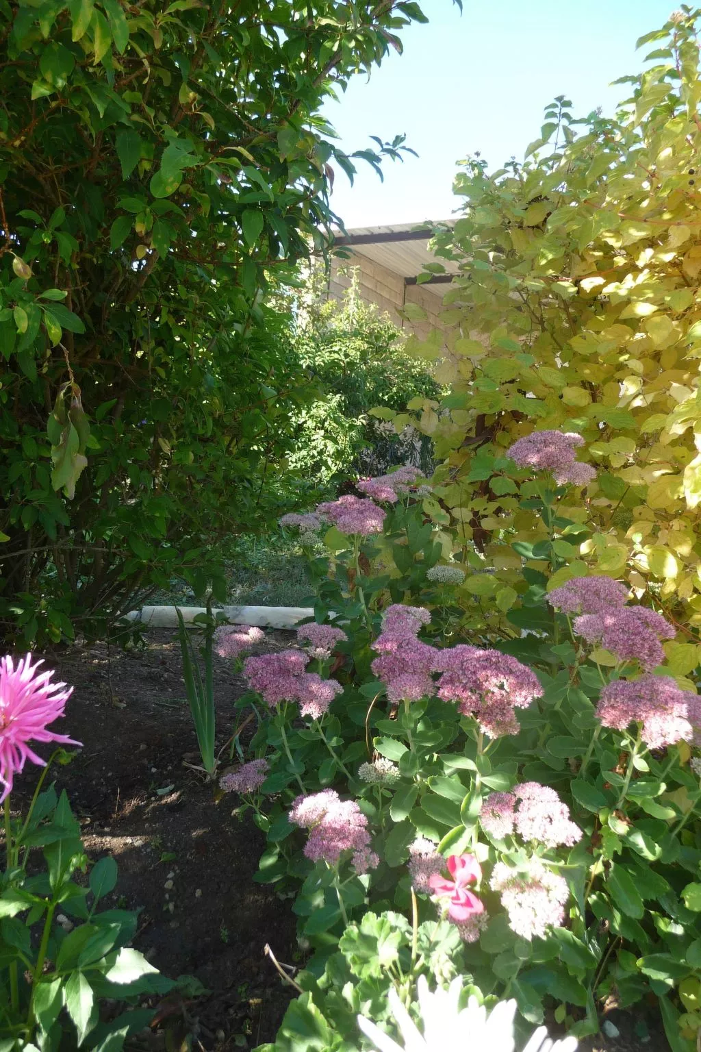 Domaine "Chez Marianne" mit Privatparkplatz-Draußen