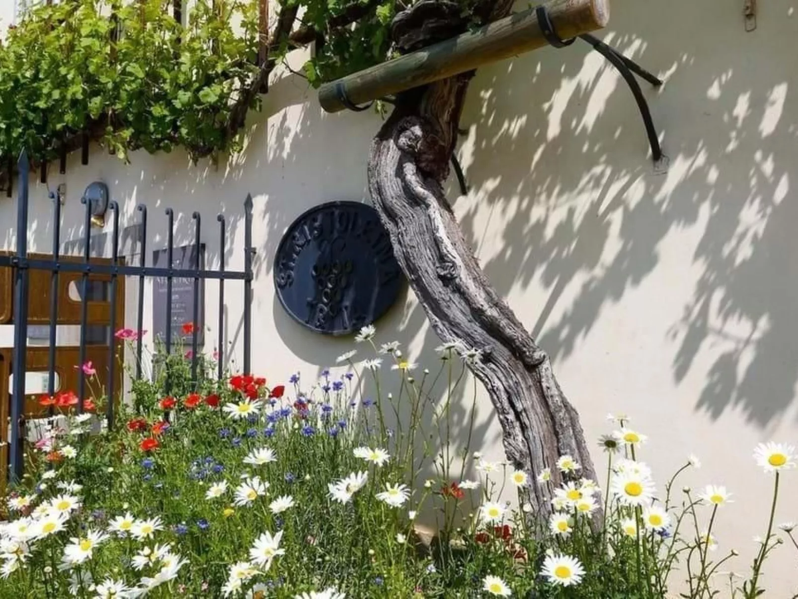 Urlaub für die Seele - Ferienhaus mit Sauna-Image-tags.info