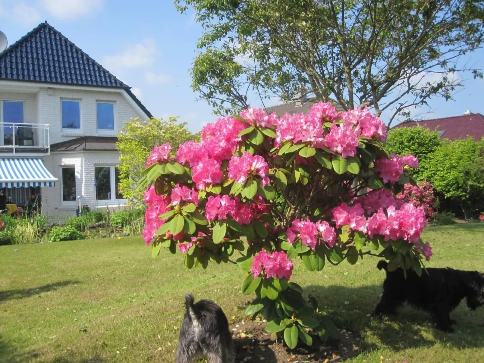 Landhaus am See-Dehors