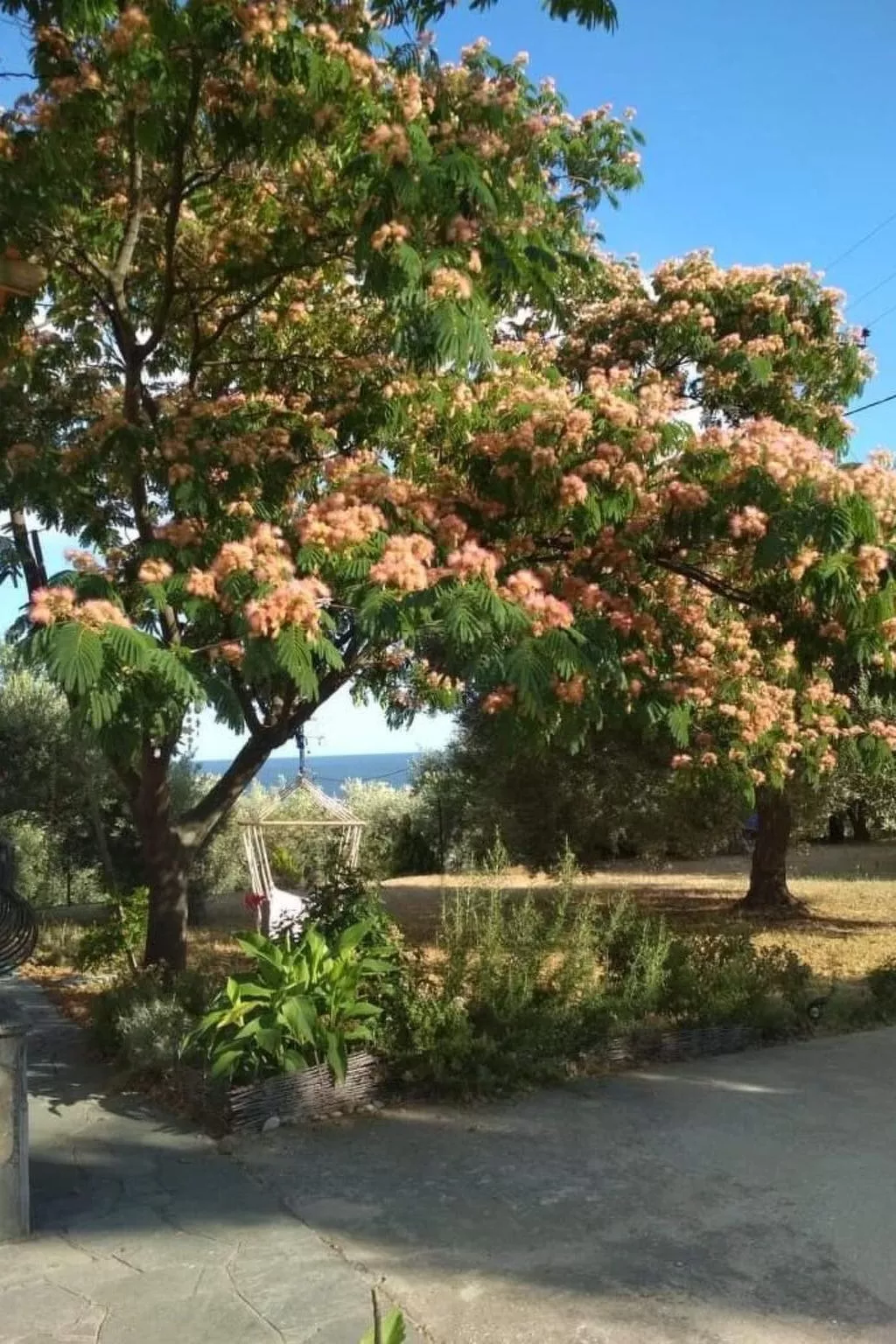 Olivia Sea Cottage-Dehors