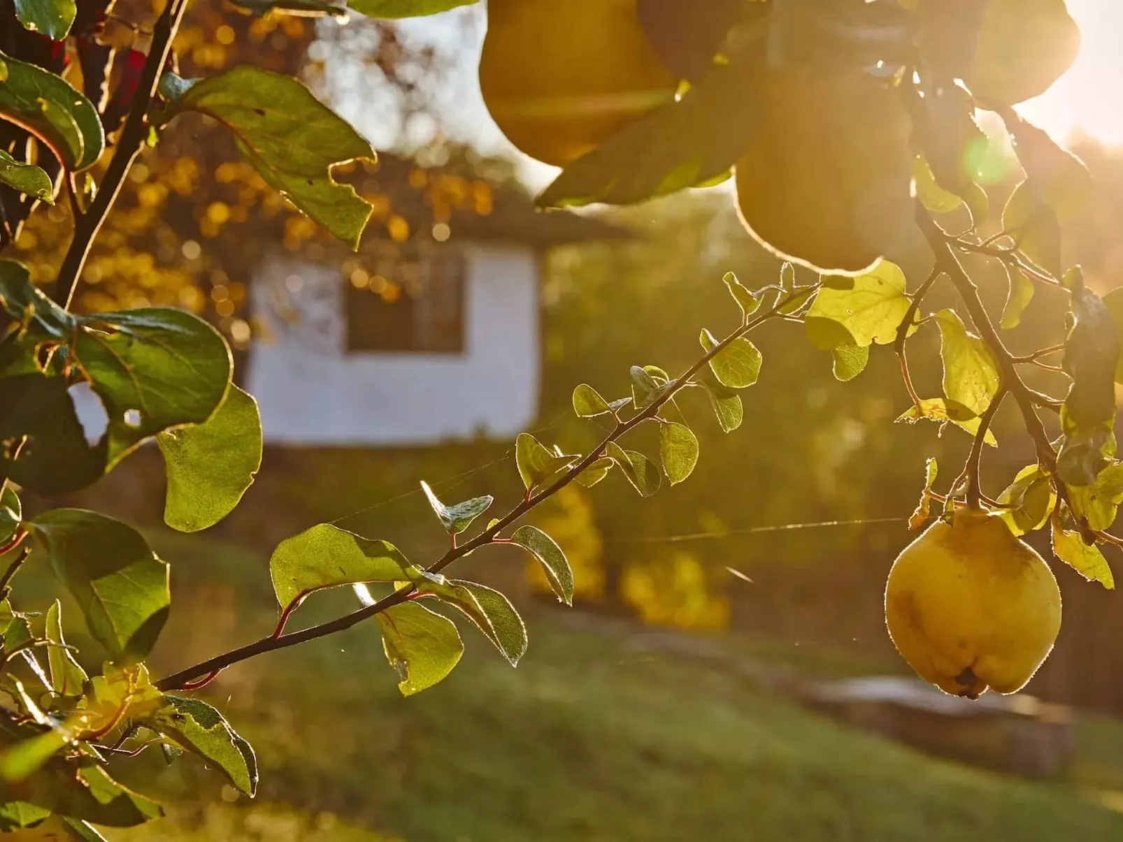 Authentisches Haus mit Bergblick - Karashka-Draußen