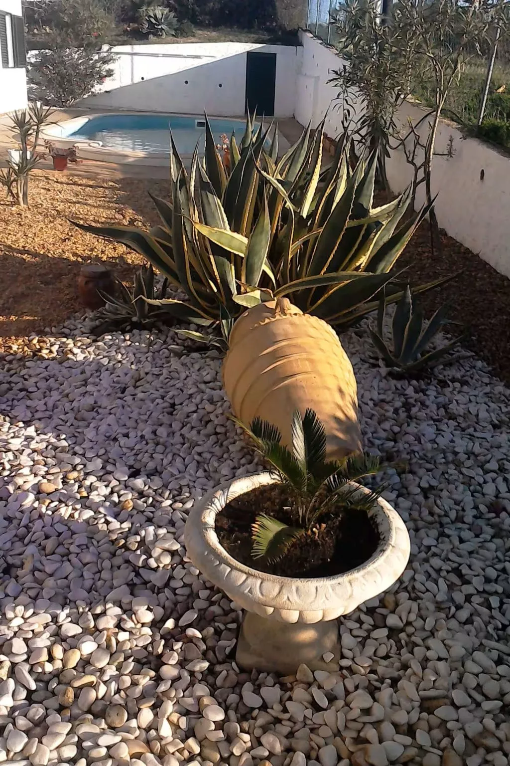 "brigitte" mit Pool-Draußen