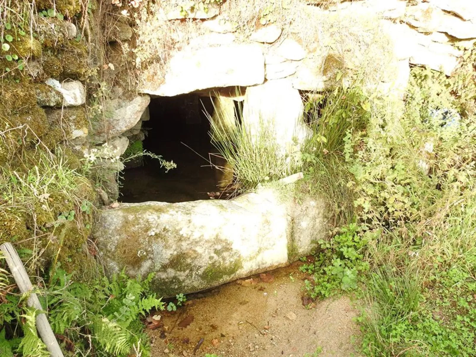 Ferien auf dem Bauernhof mit Weinberg-Outside