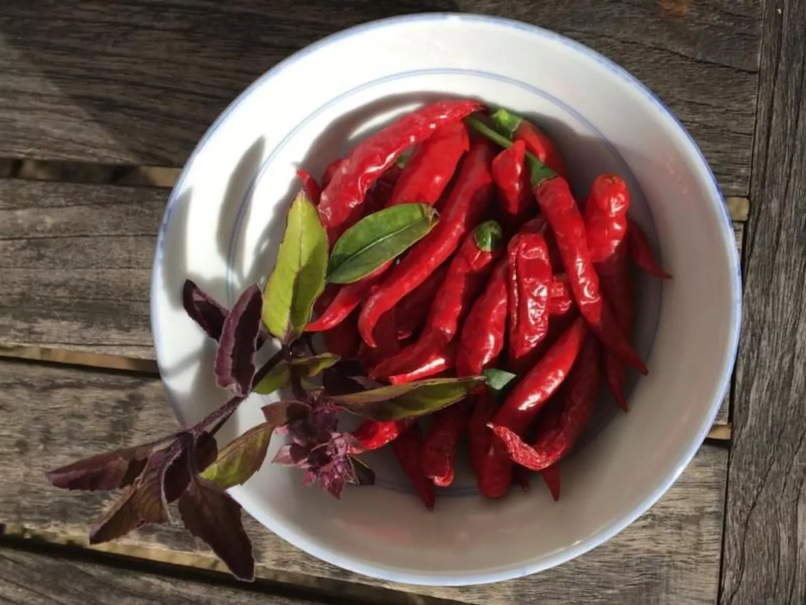 Campolungo, La Torre-Image-tags.info