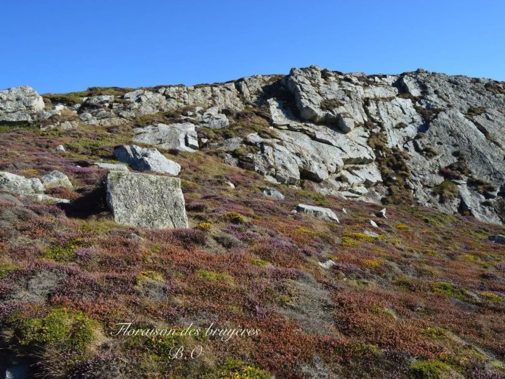 Mit eigenem Garten und Grill-Image-tags.info