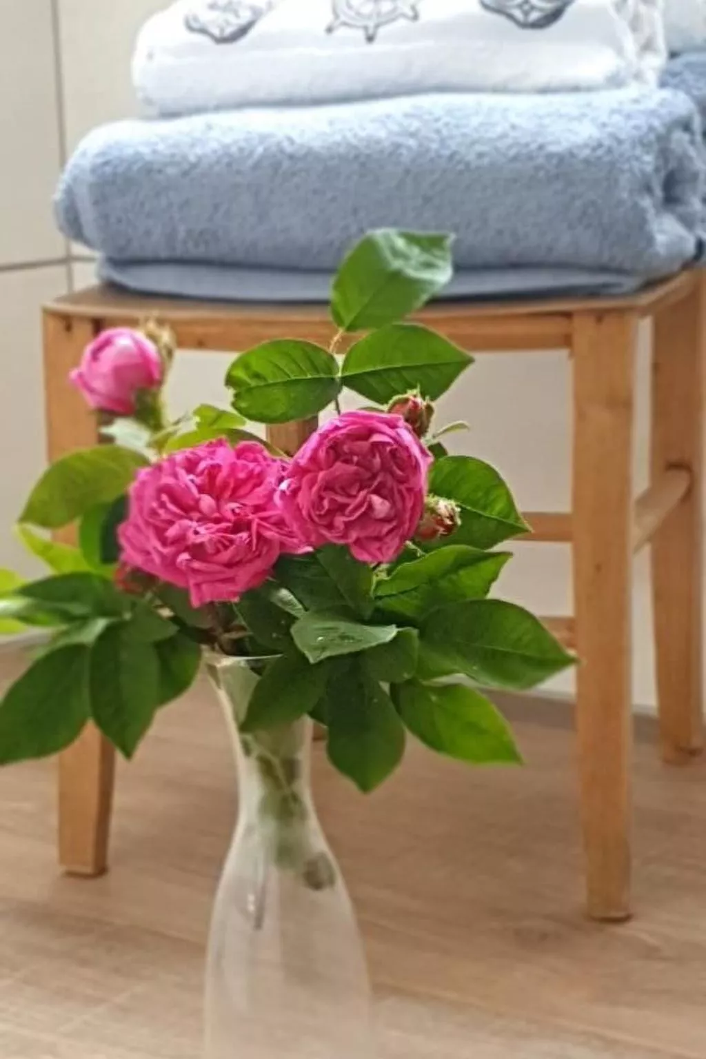 Cò d'Franz-Image-tags.info