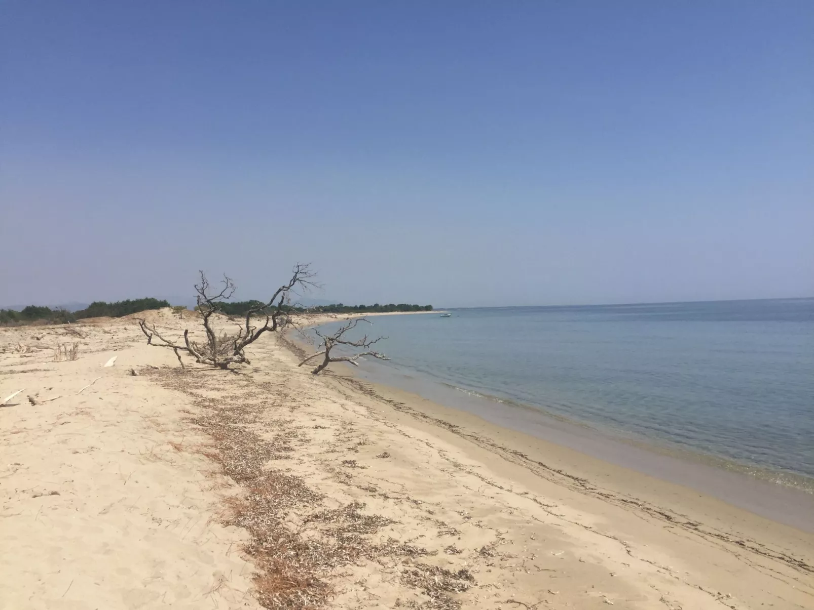 Weingut Punta della guardia zwischen Meer und Gebirge-Outside
