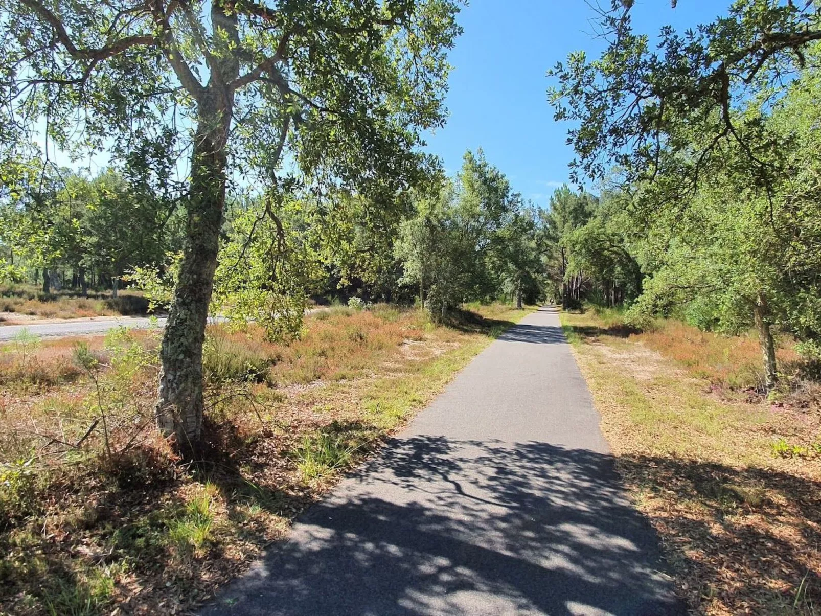 Villa Cocoon Contis-plage 1 chambre-Dehors