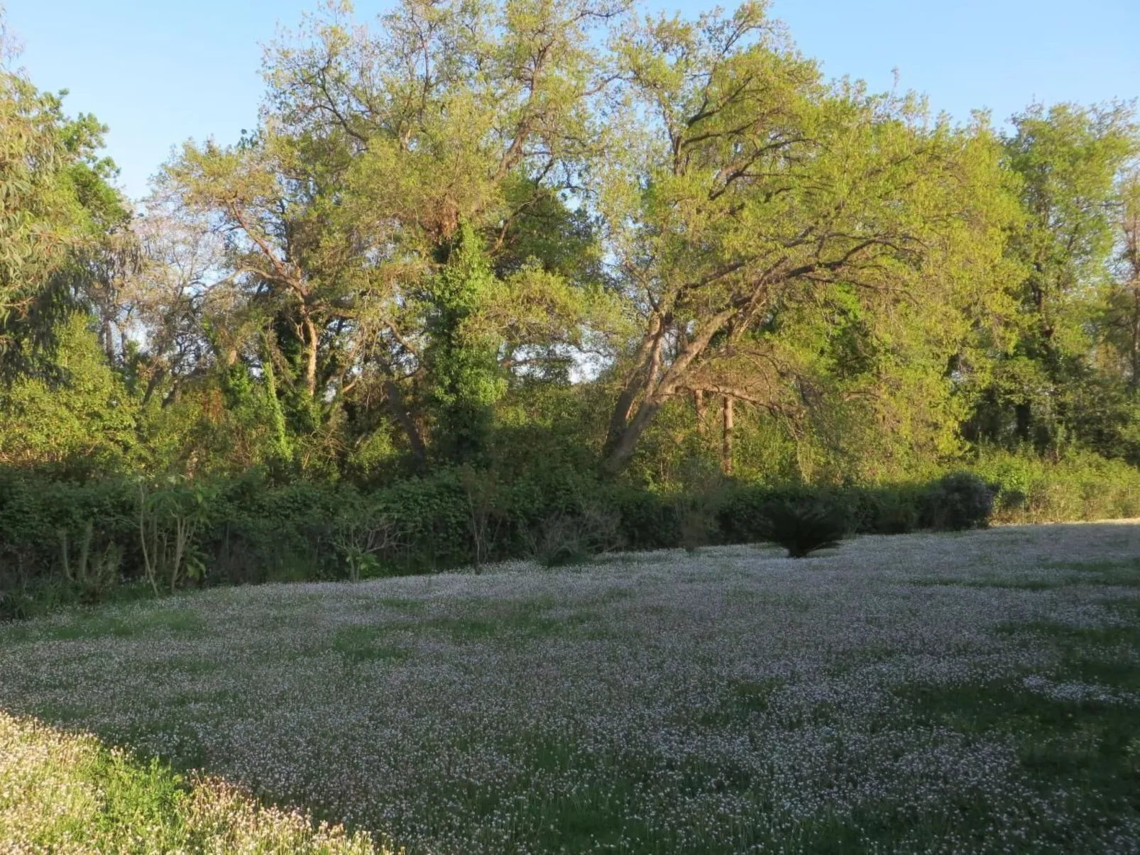 Résidence Amanda-Outside