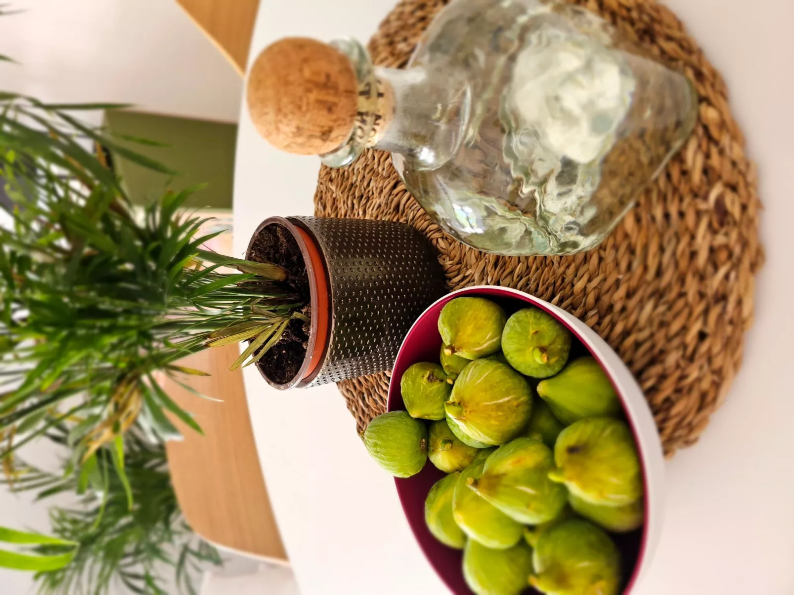 Mimos Robinsonhaus-Drinnen