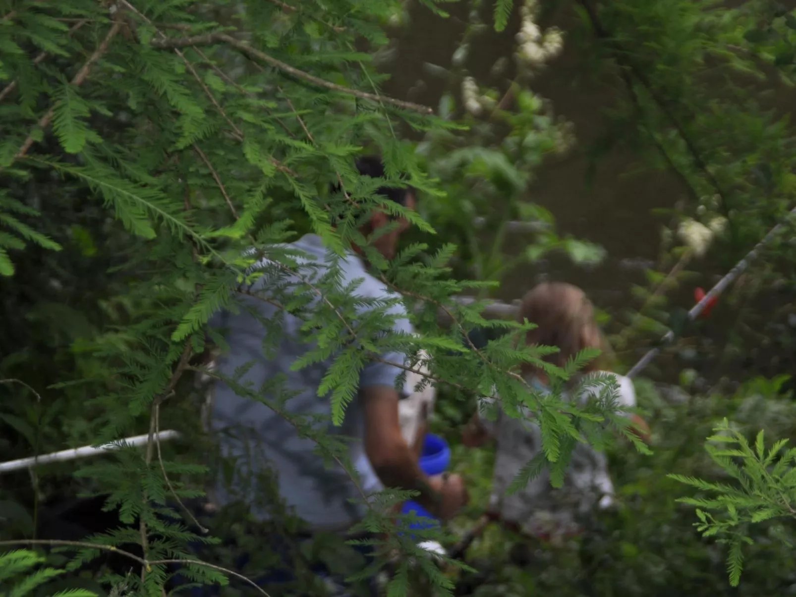 Rosalie - Ruhig - Zentral - Hochwertig-Outside