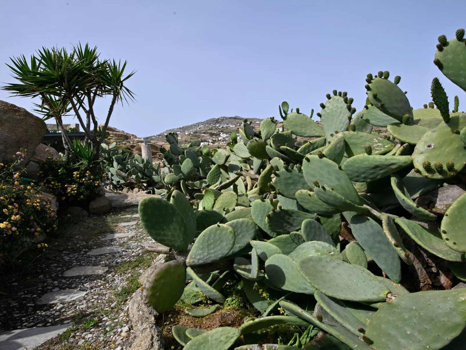 "Paraga Villa 2" mit Whirlpool-Dehors