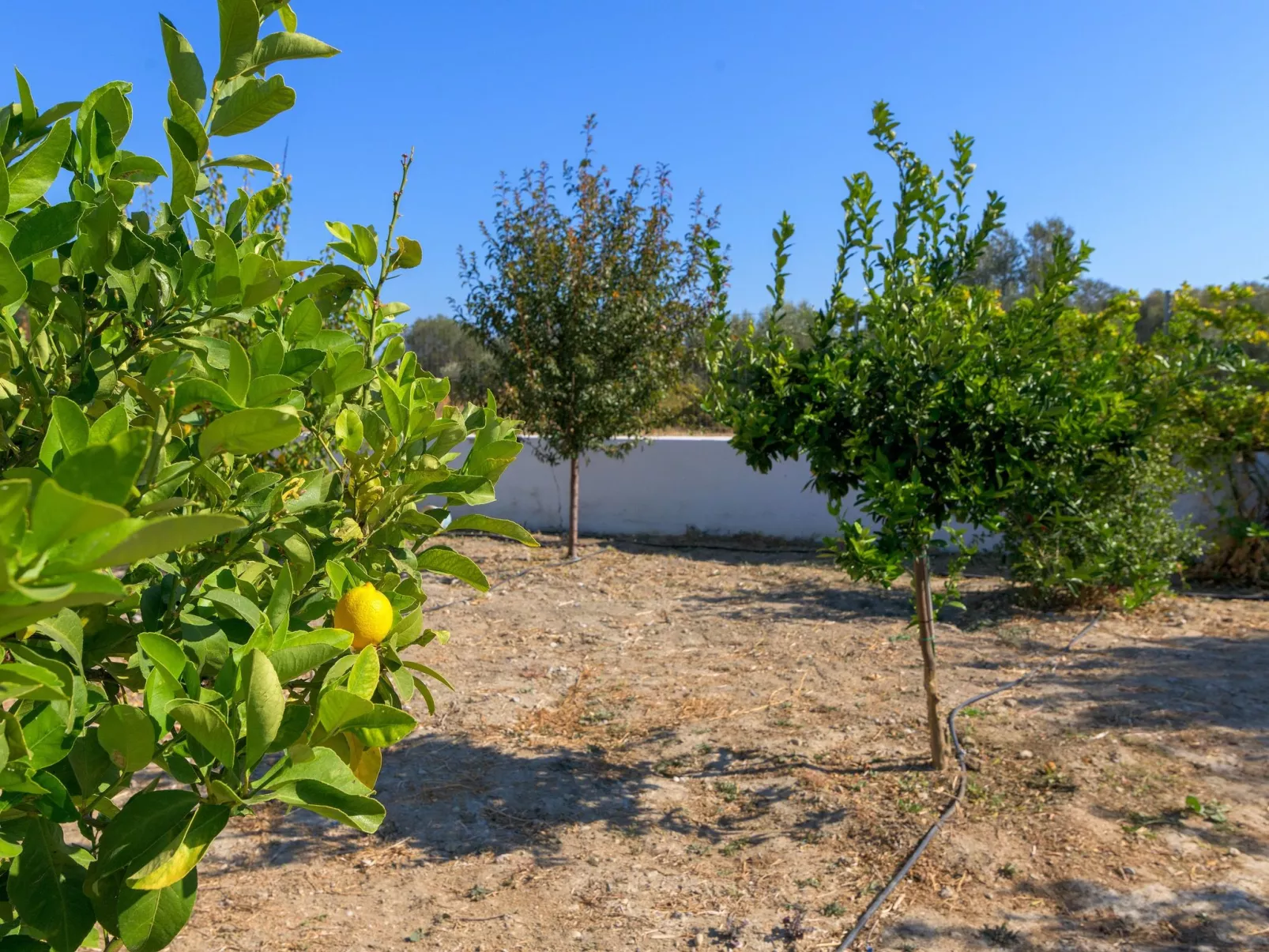 "Villa Galini"-Outside