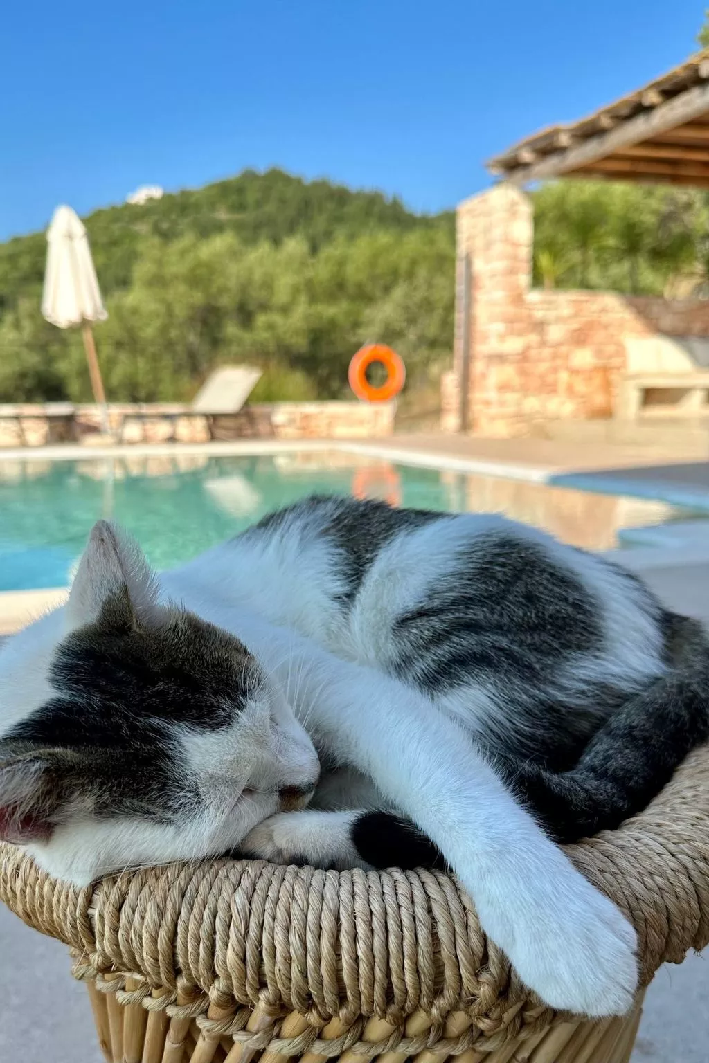 Prächtige Villa in spektakulärer Lage-Draußen