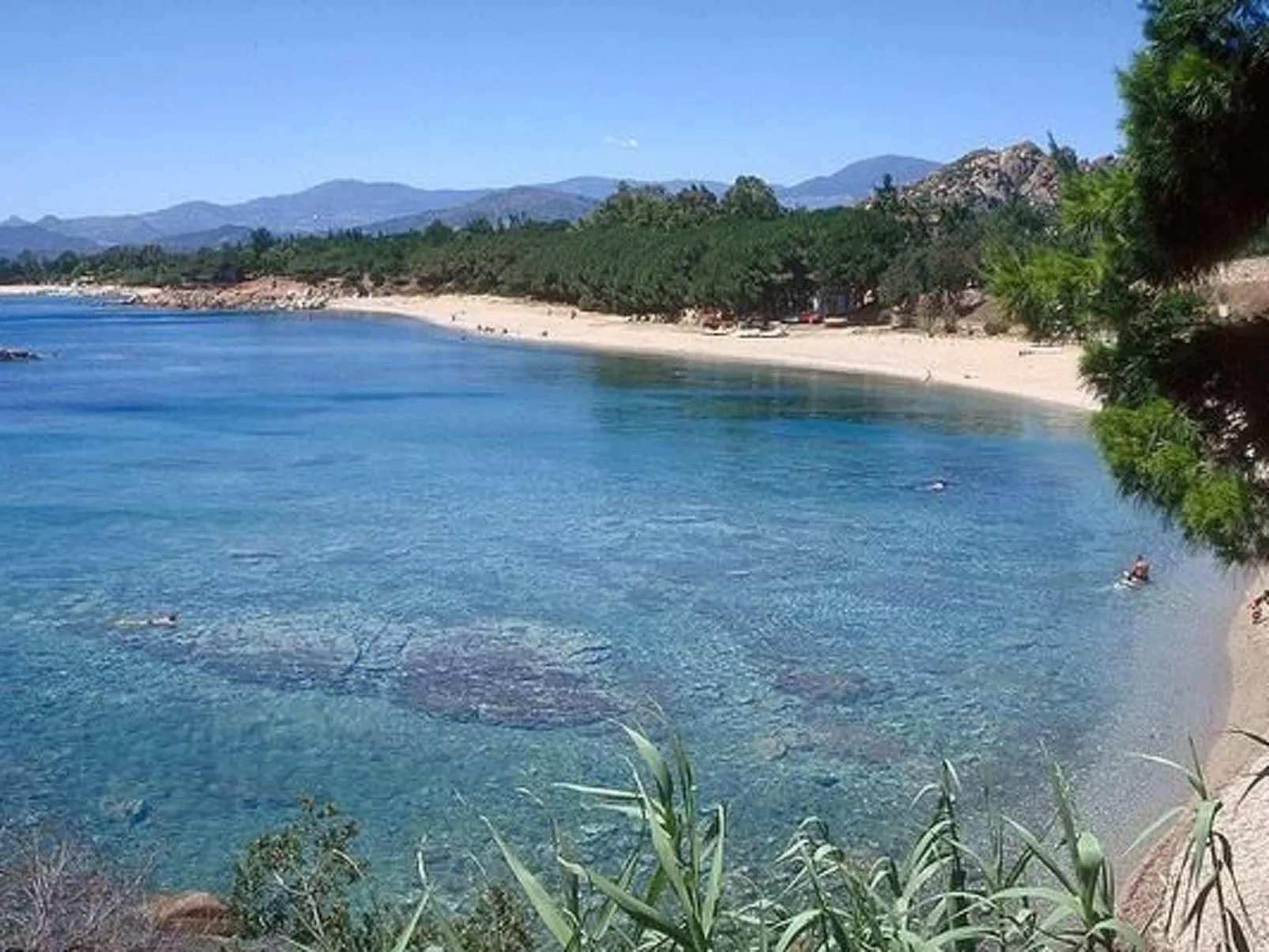 Haustier- und Familienfreundliches Apartment-Image-tags.info