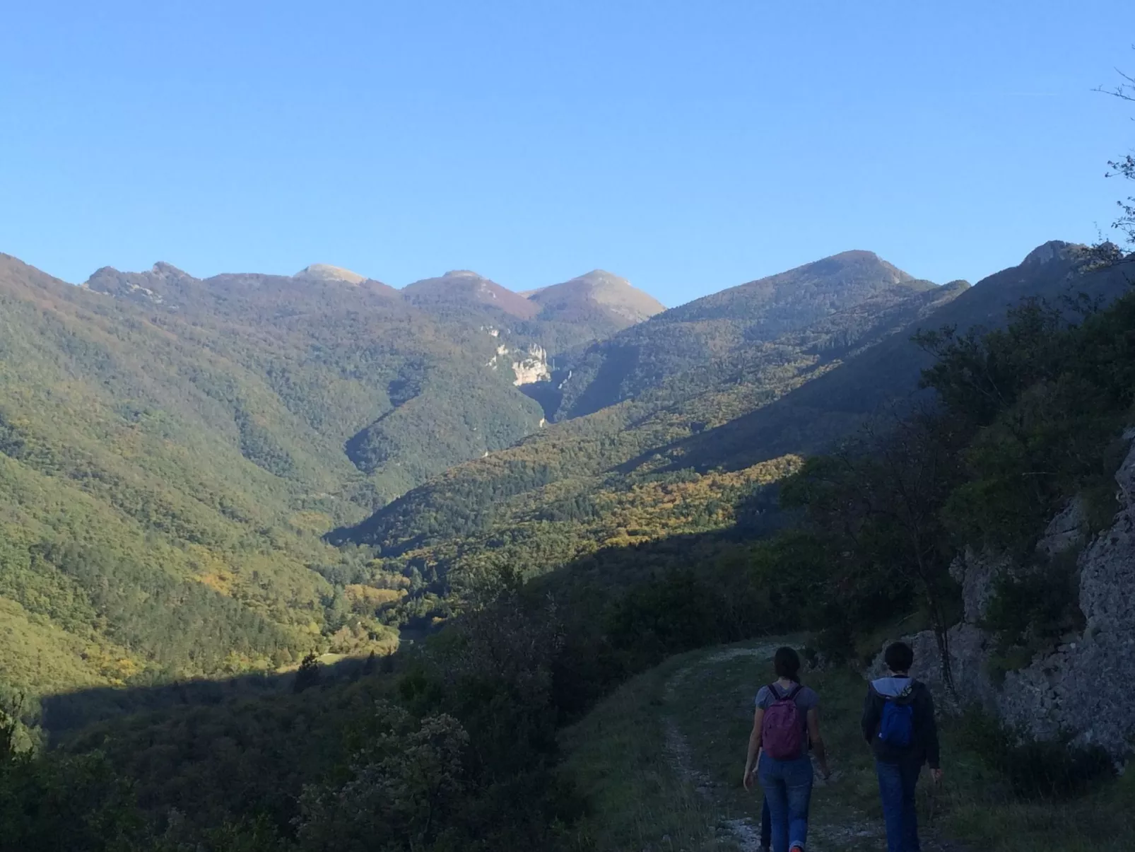 Domäne auf dem Bauernhof-Draußen