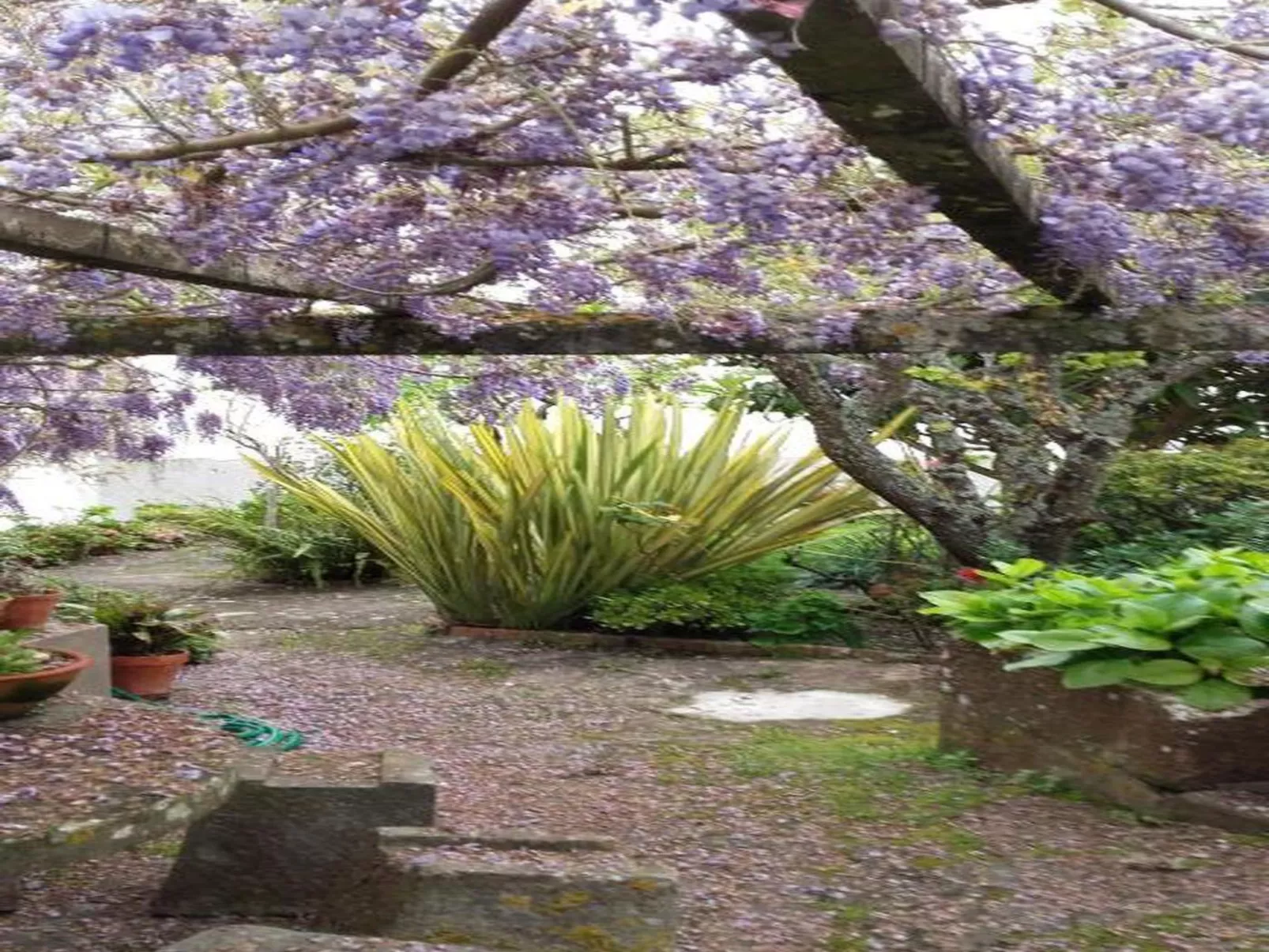 Historisches Haus in der Nähe des historischen Dorfes von Óbidos-Image-tags.info