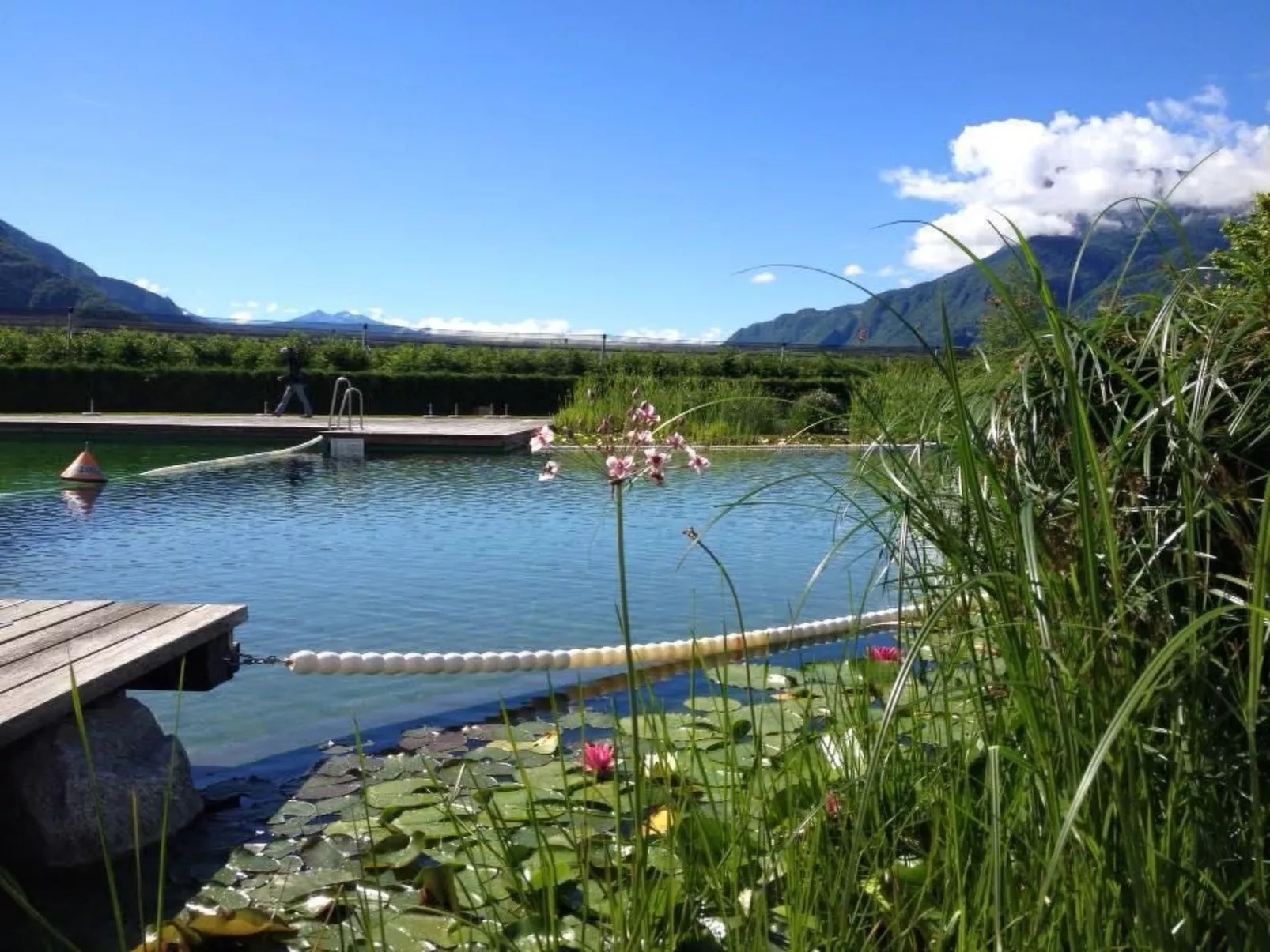 Fewo mit Pool, Sauna und Whirlpool-Image-tags.info