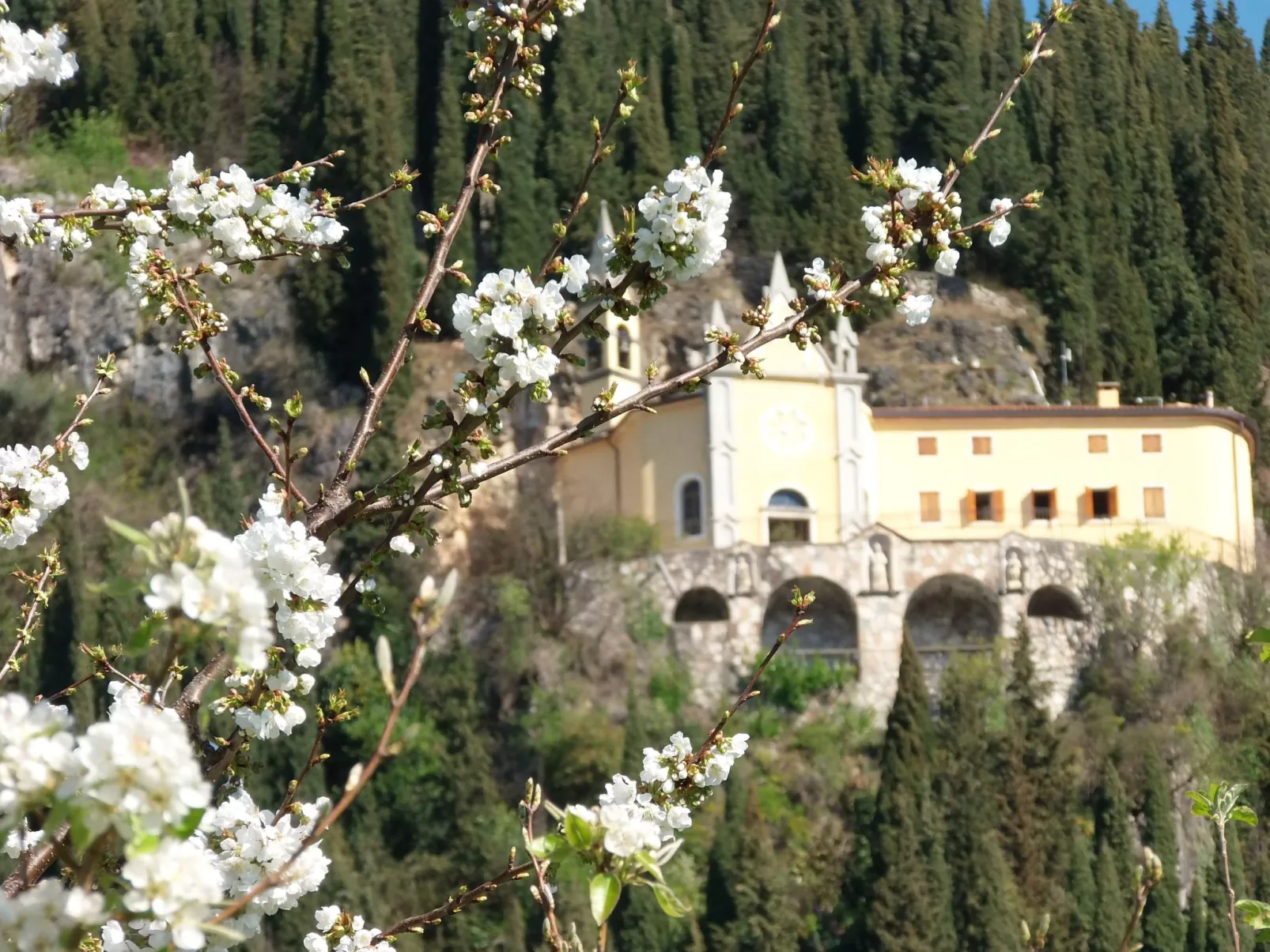 Anwesen mit Garten, Grill und Terrasse-Image-tags.info