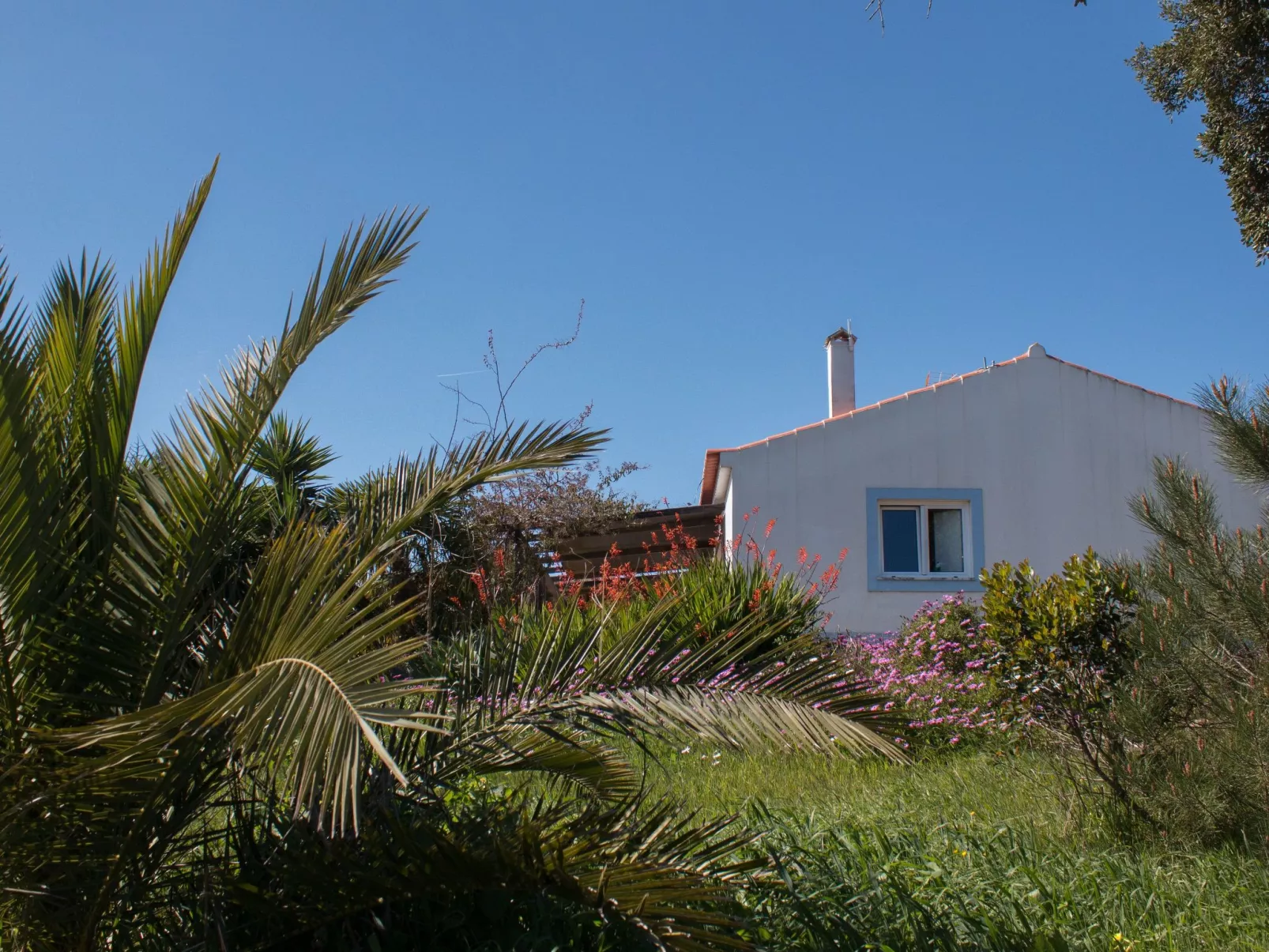 Monte Horizonte Casa Passaro Öko und Natur-Draußen