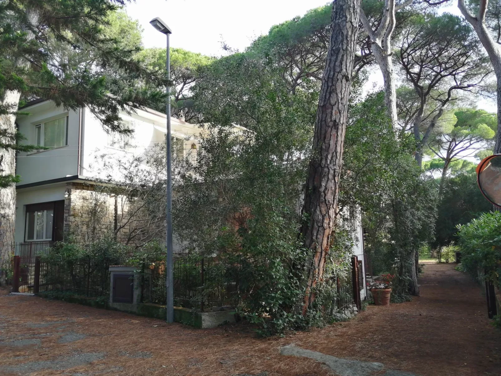 'Azalea' mit Terrasse-Outside