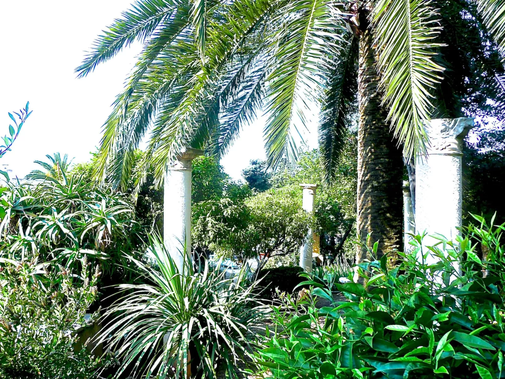 Ferienvilla "Villa Dracoena".-Dehors