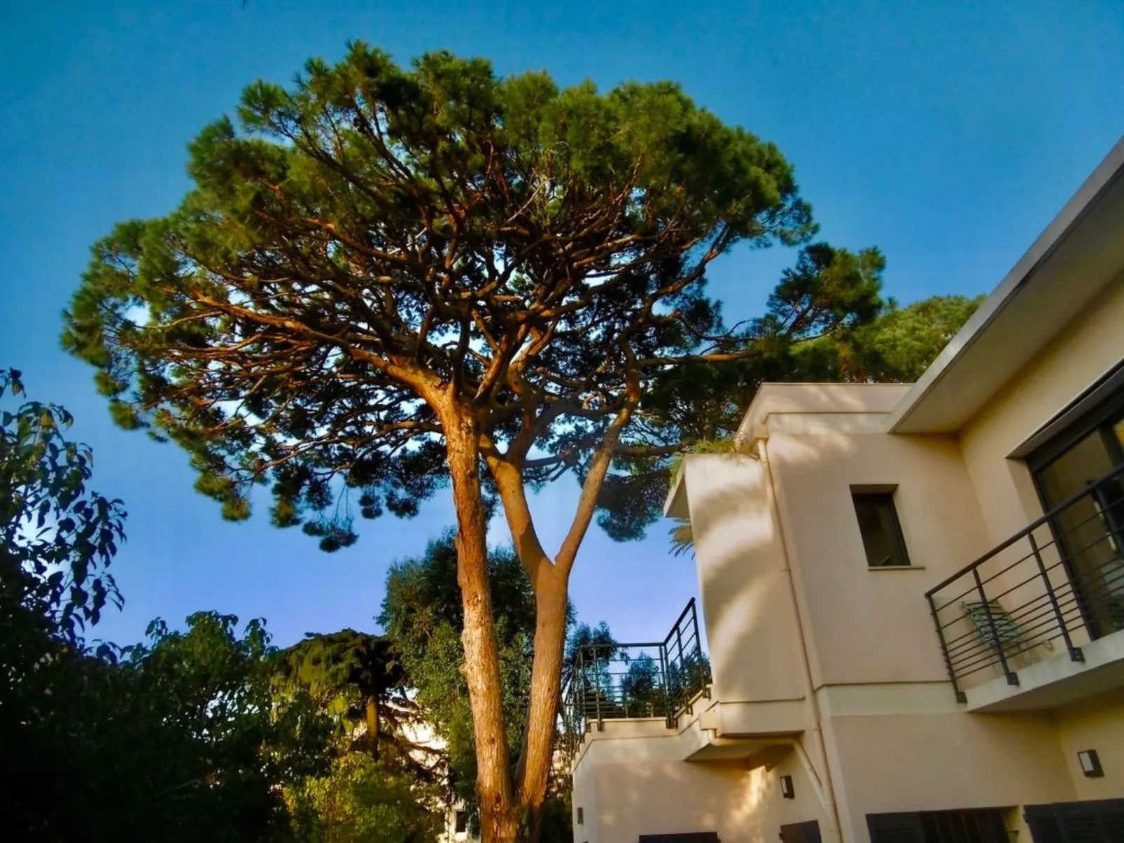 Villa Mascotte-Dehors