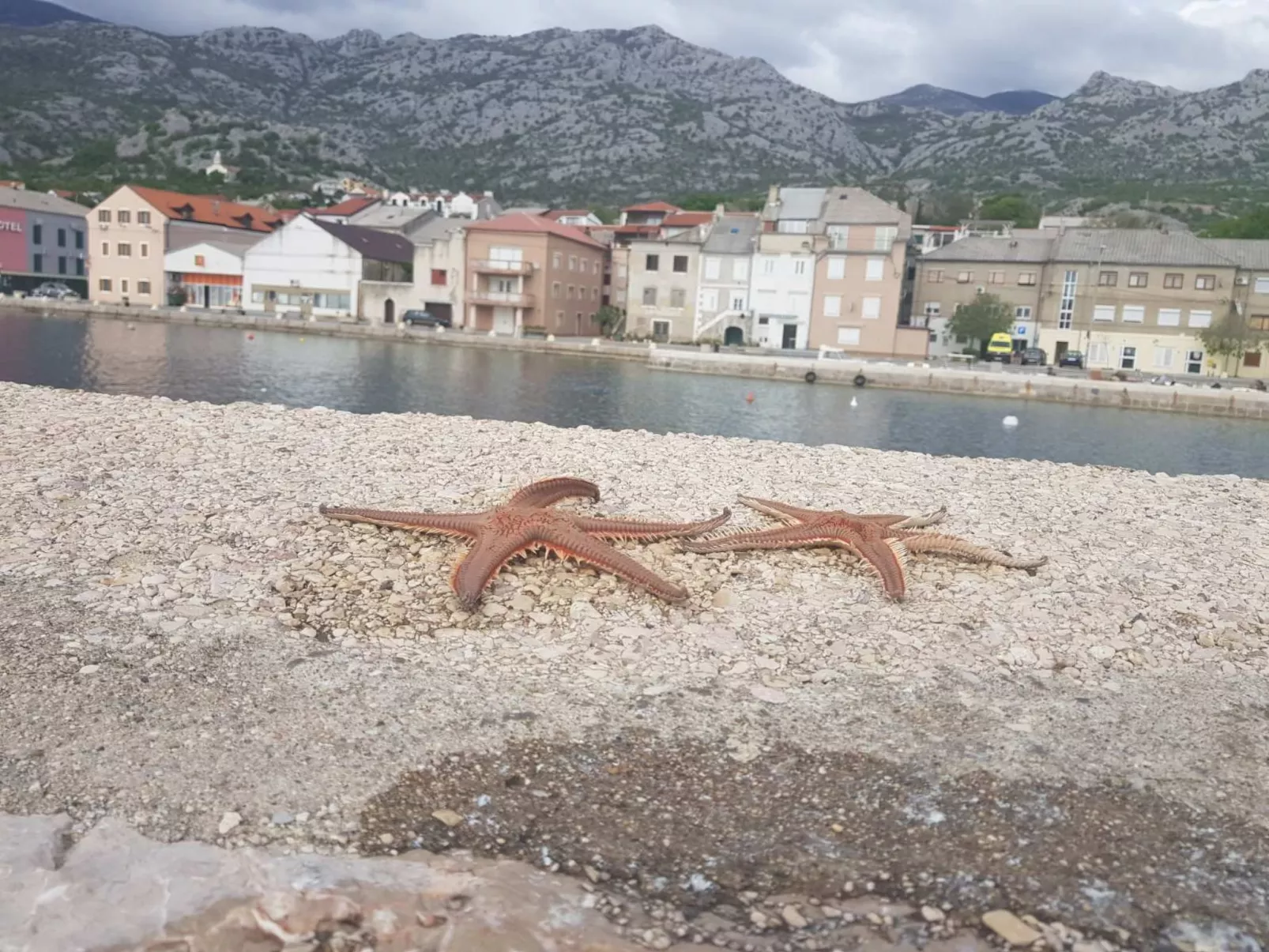 Apartam 4 Karlobag-Image-tags.info