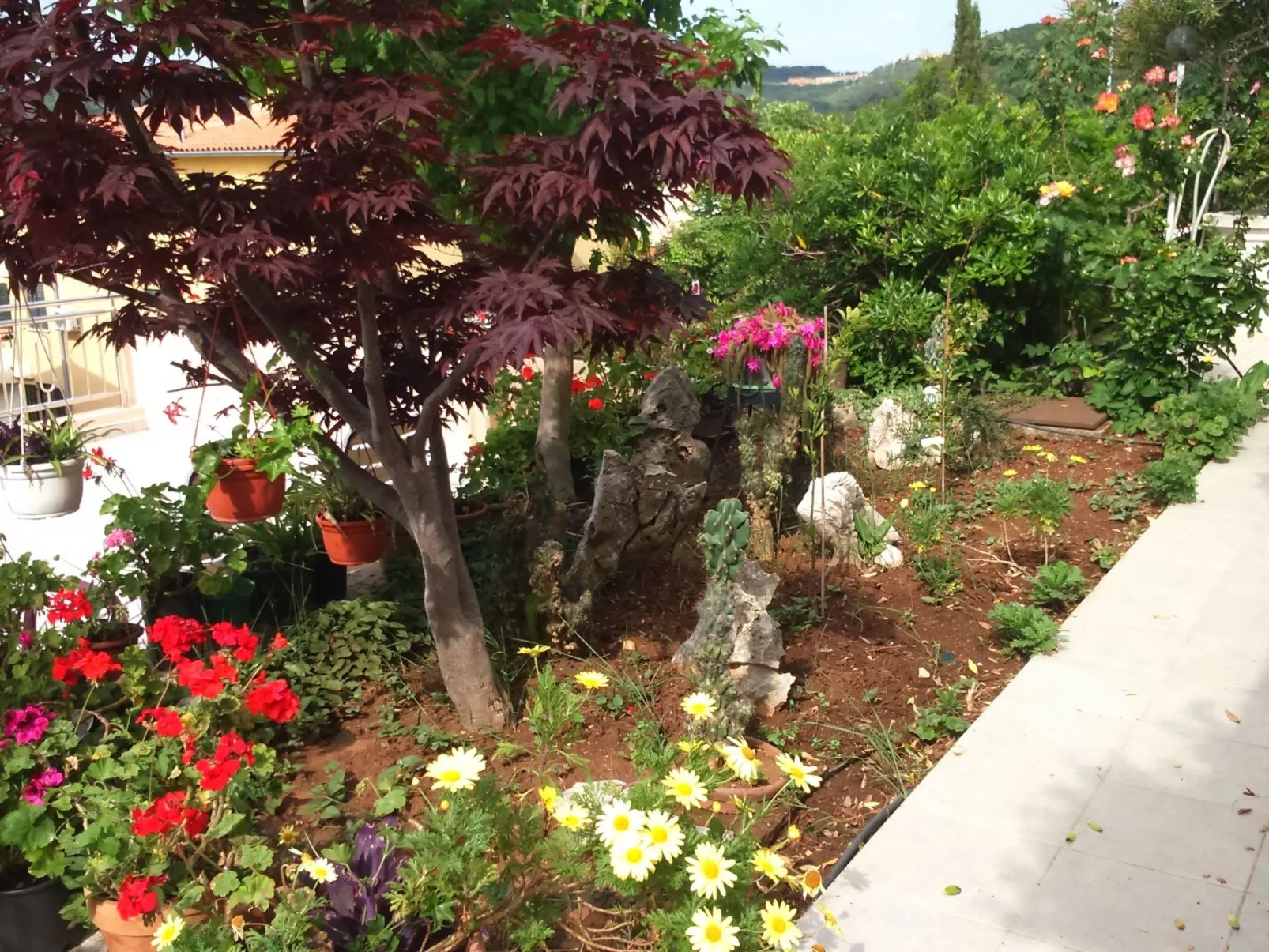 Apartment Bellavista-Draußen