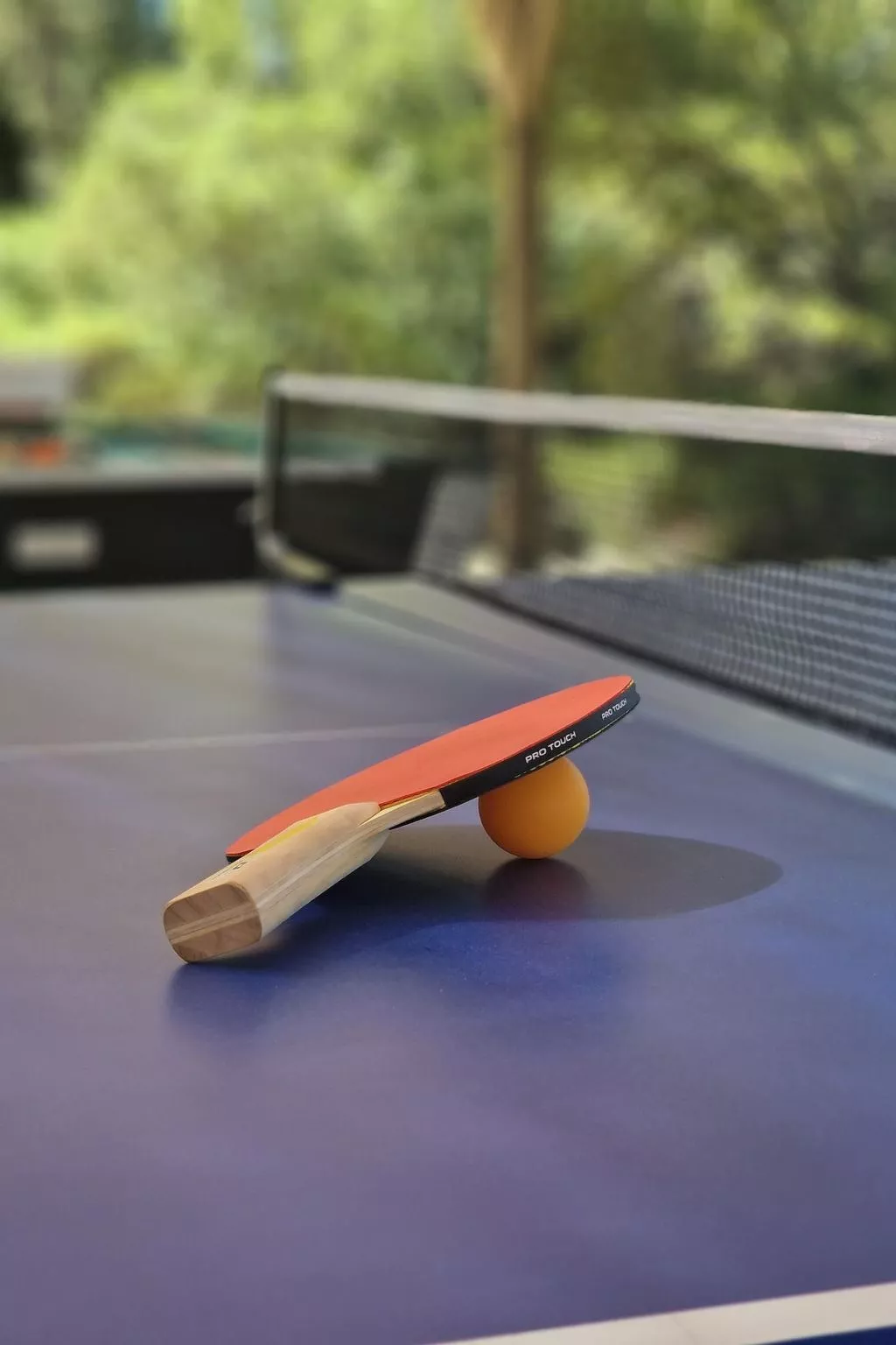 Massari Hills-Artes-Dedans