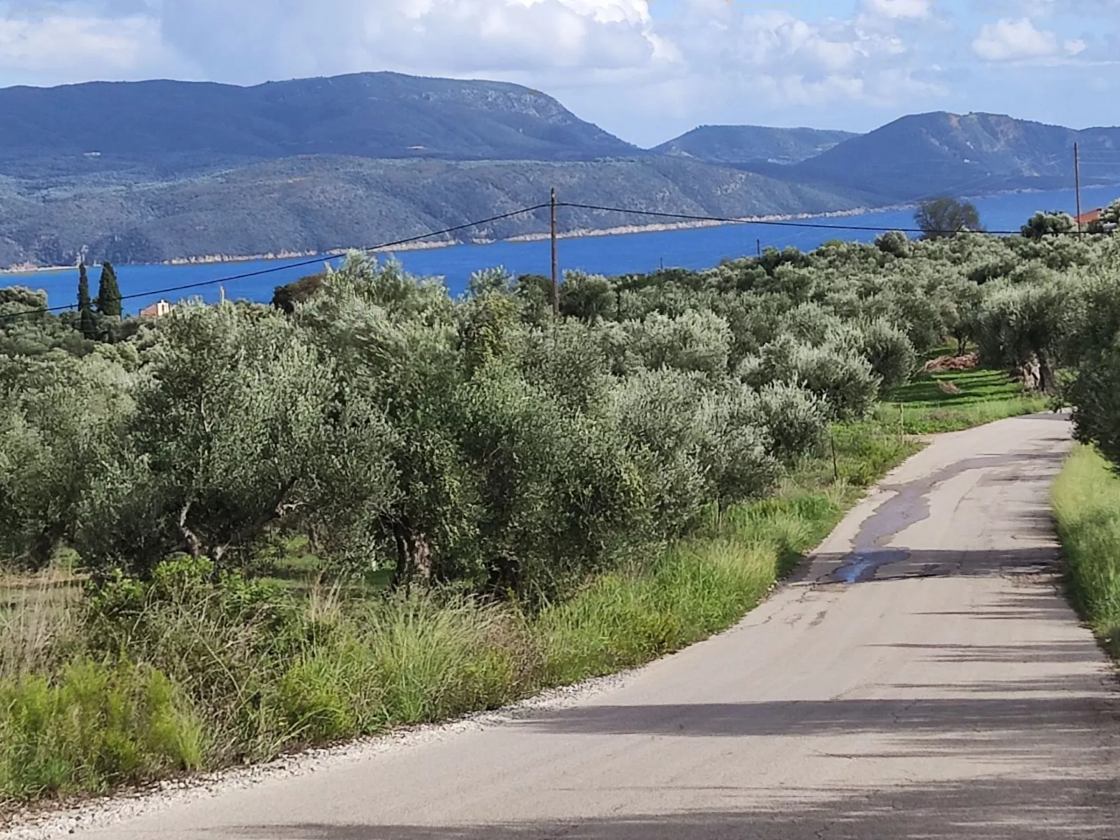 Pilias-Image-tags.info