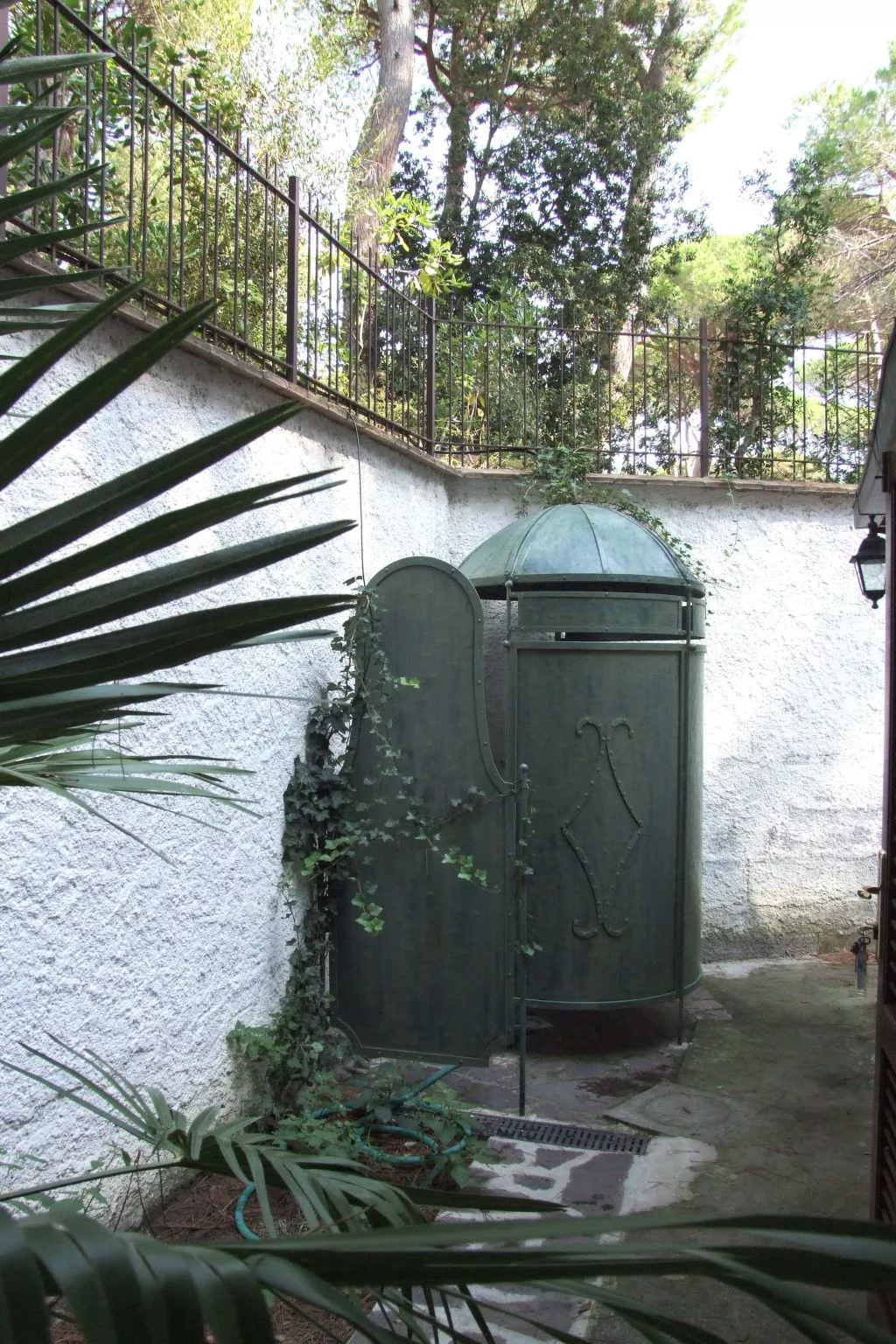 Orchidea von Holiday World-Image-tags.info